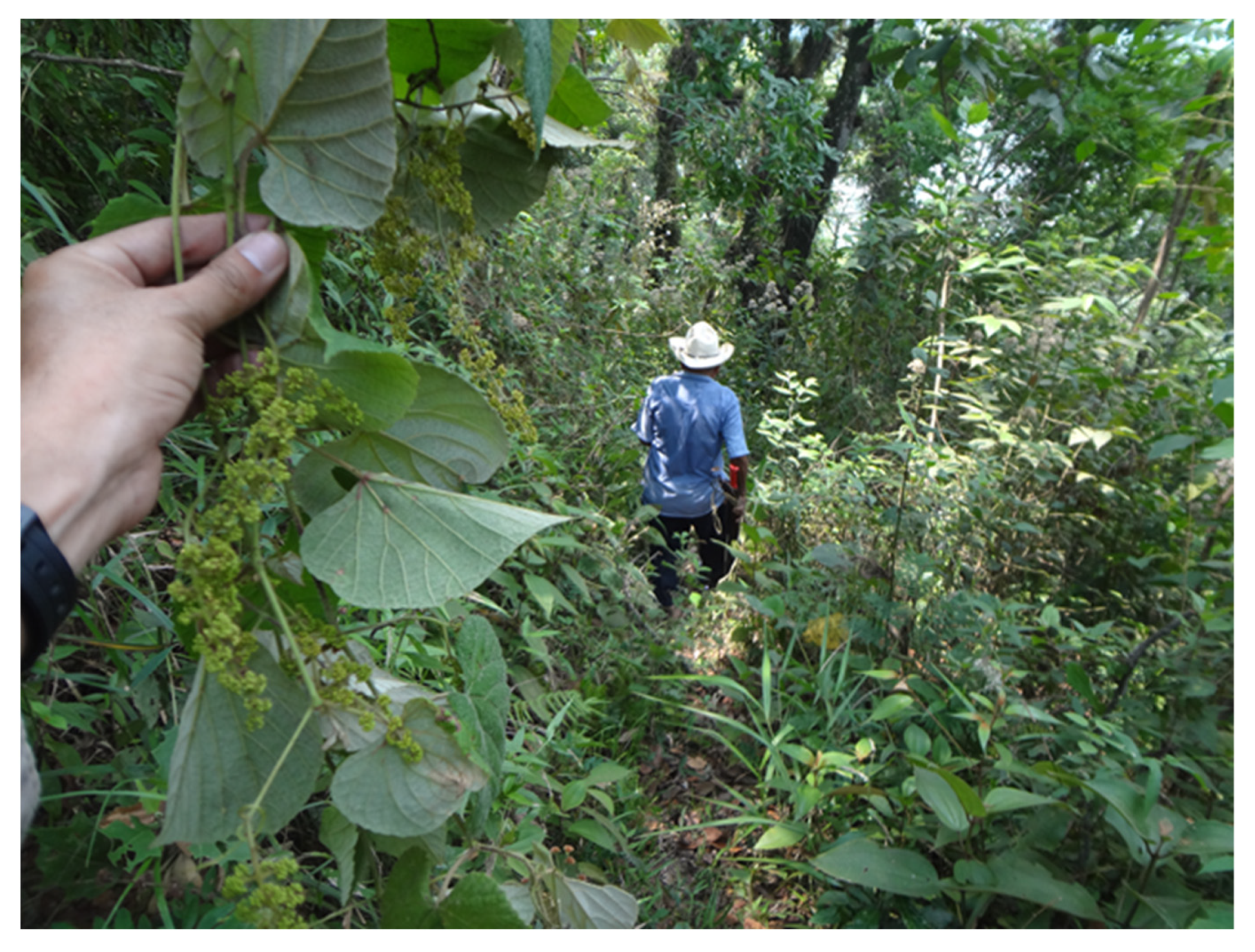 Agriculture 12 00659 g004