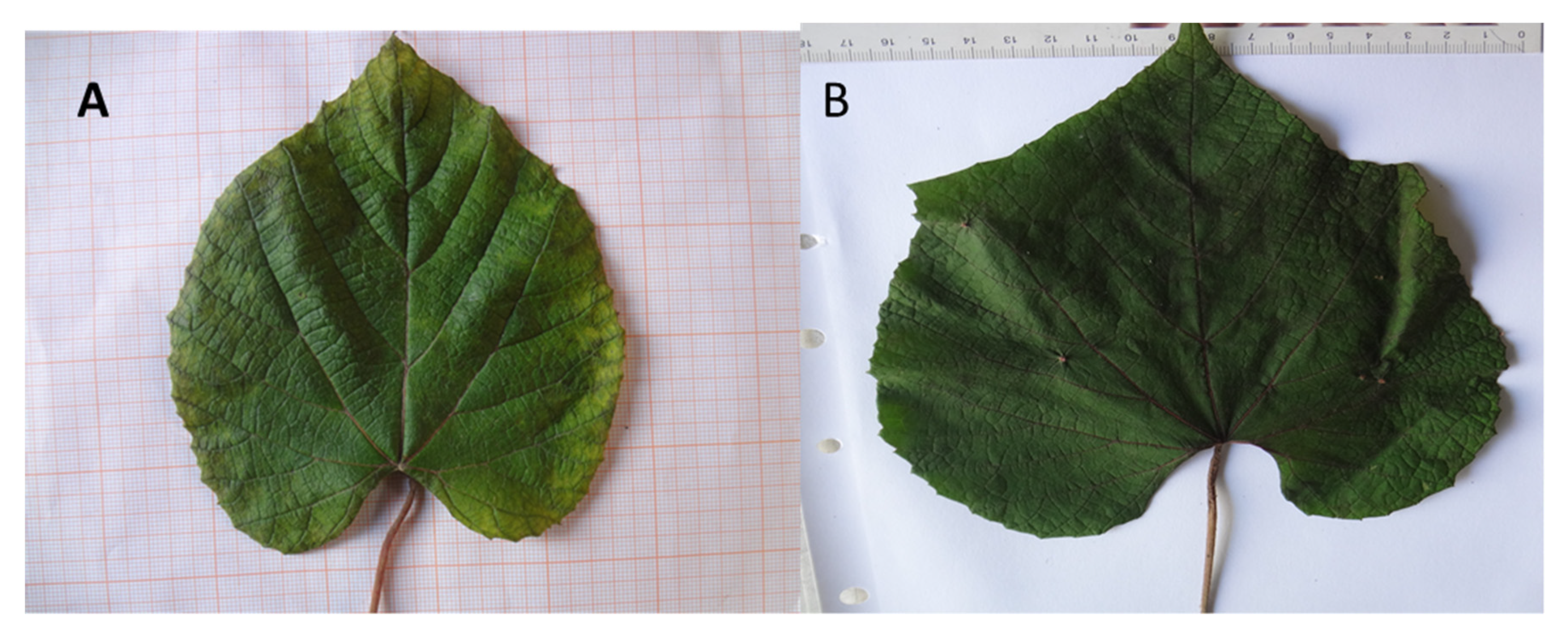 Agriculture 12 00659 g013