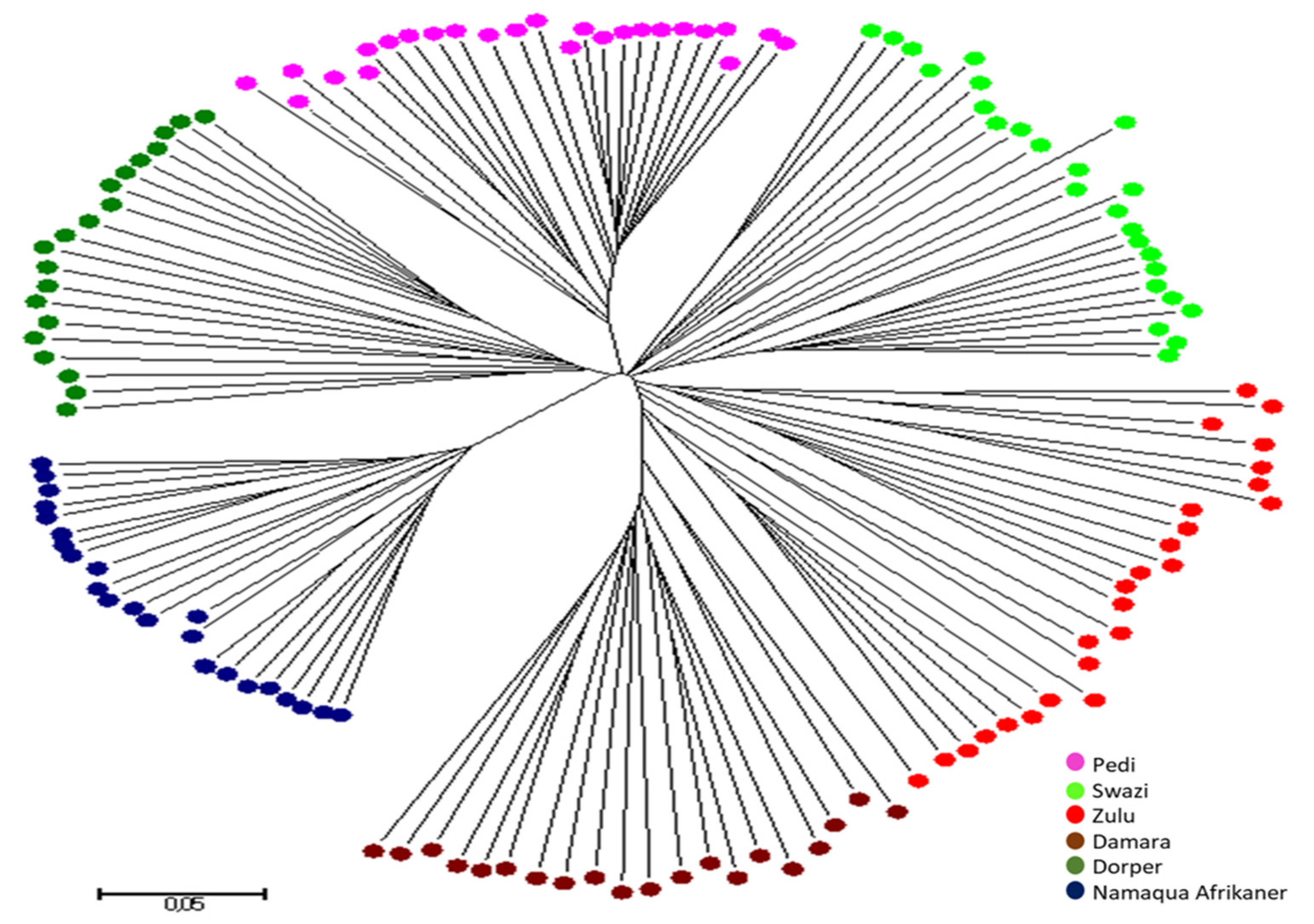 Agriculture 12 00663 g004 550