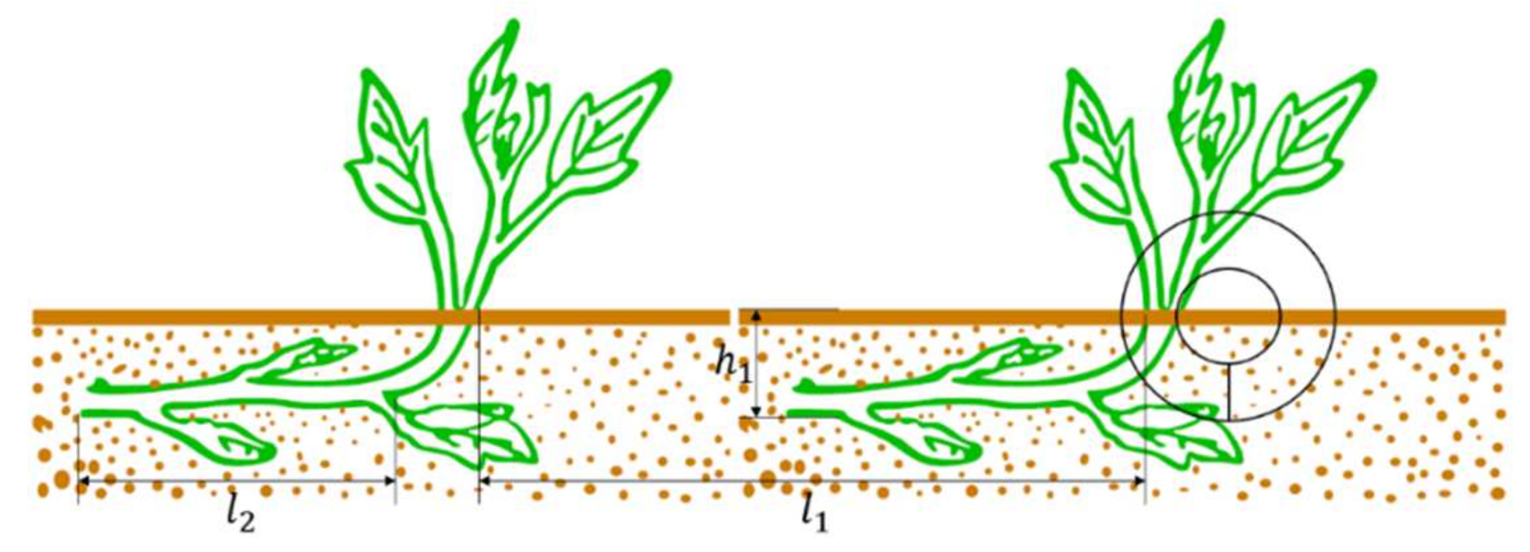 Agriculture 12 00675 g002 550