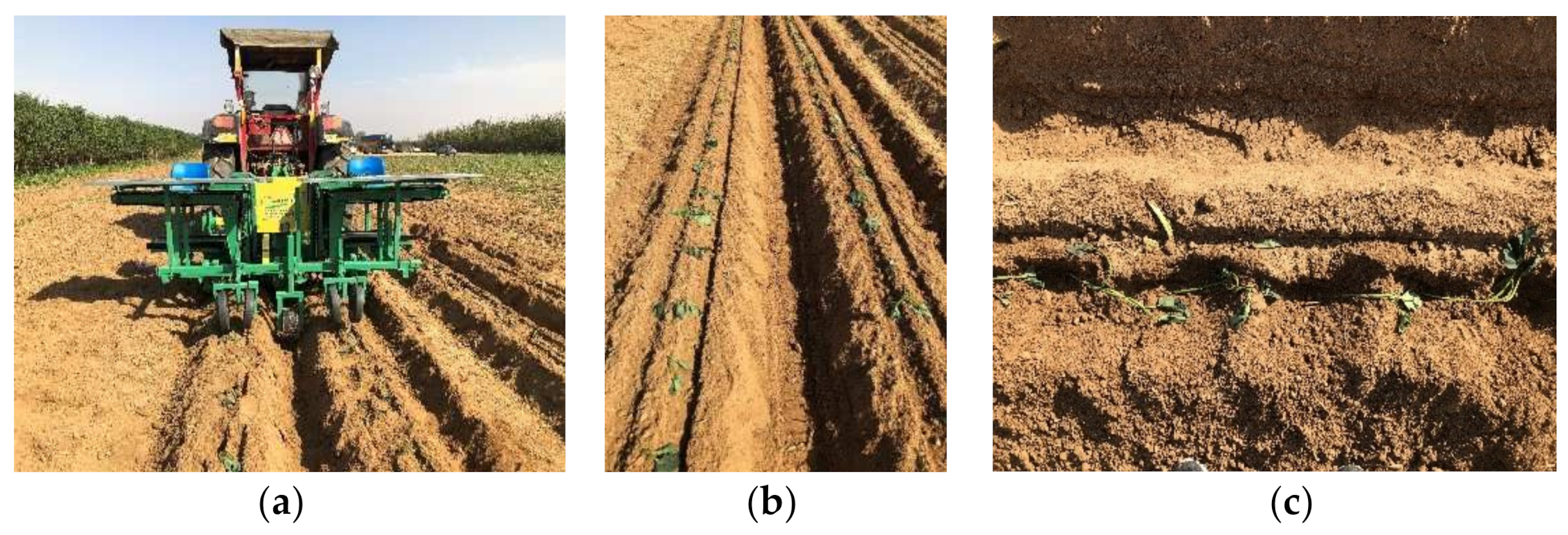 Agriculture 12 00675 g009 550