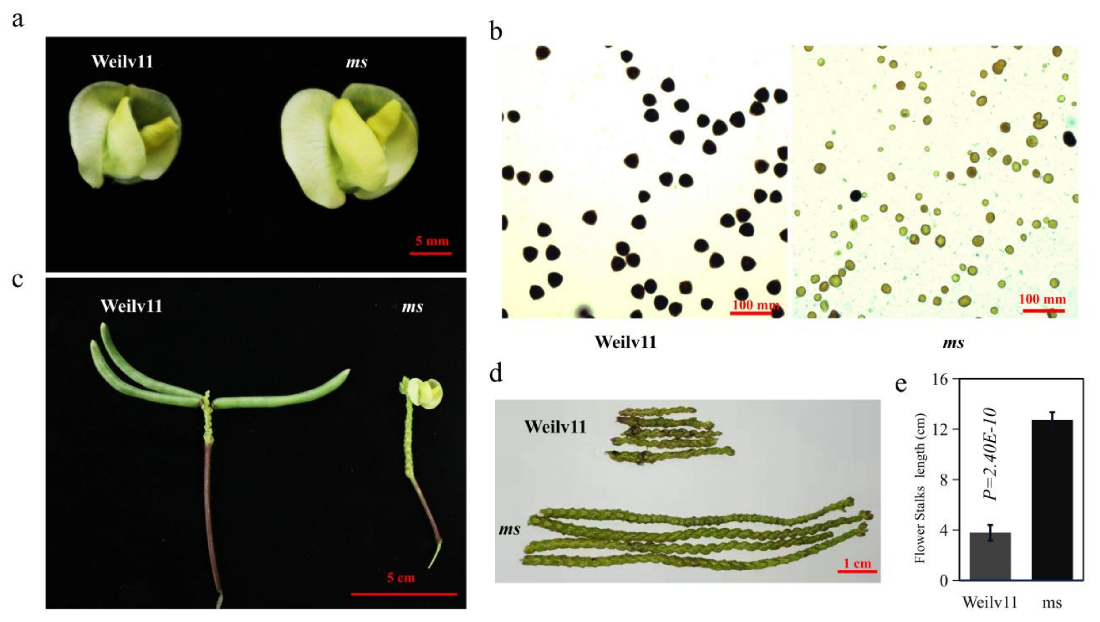 Agriculture 12 00686 g001