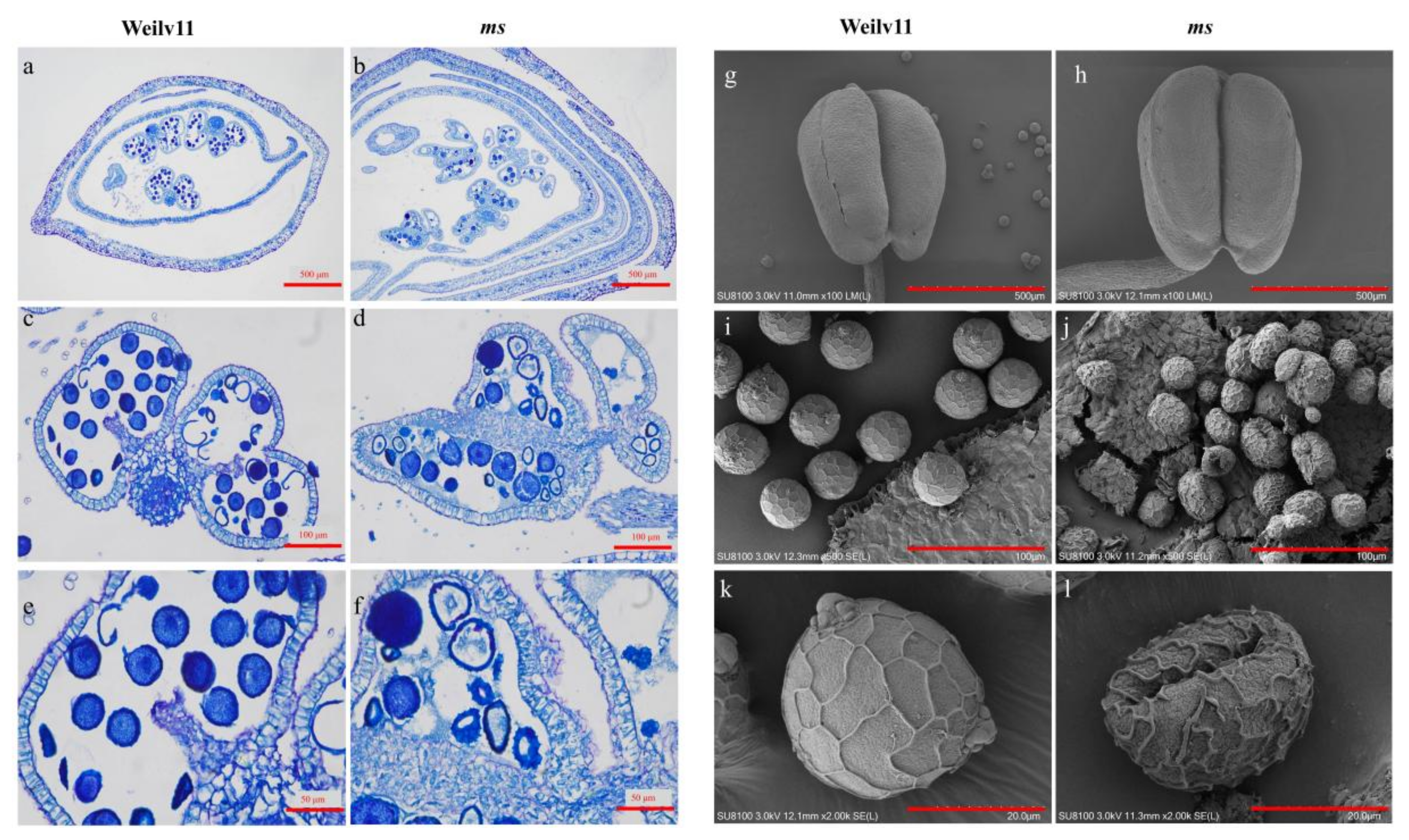 Agriculture 12 00686 g002