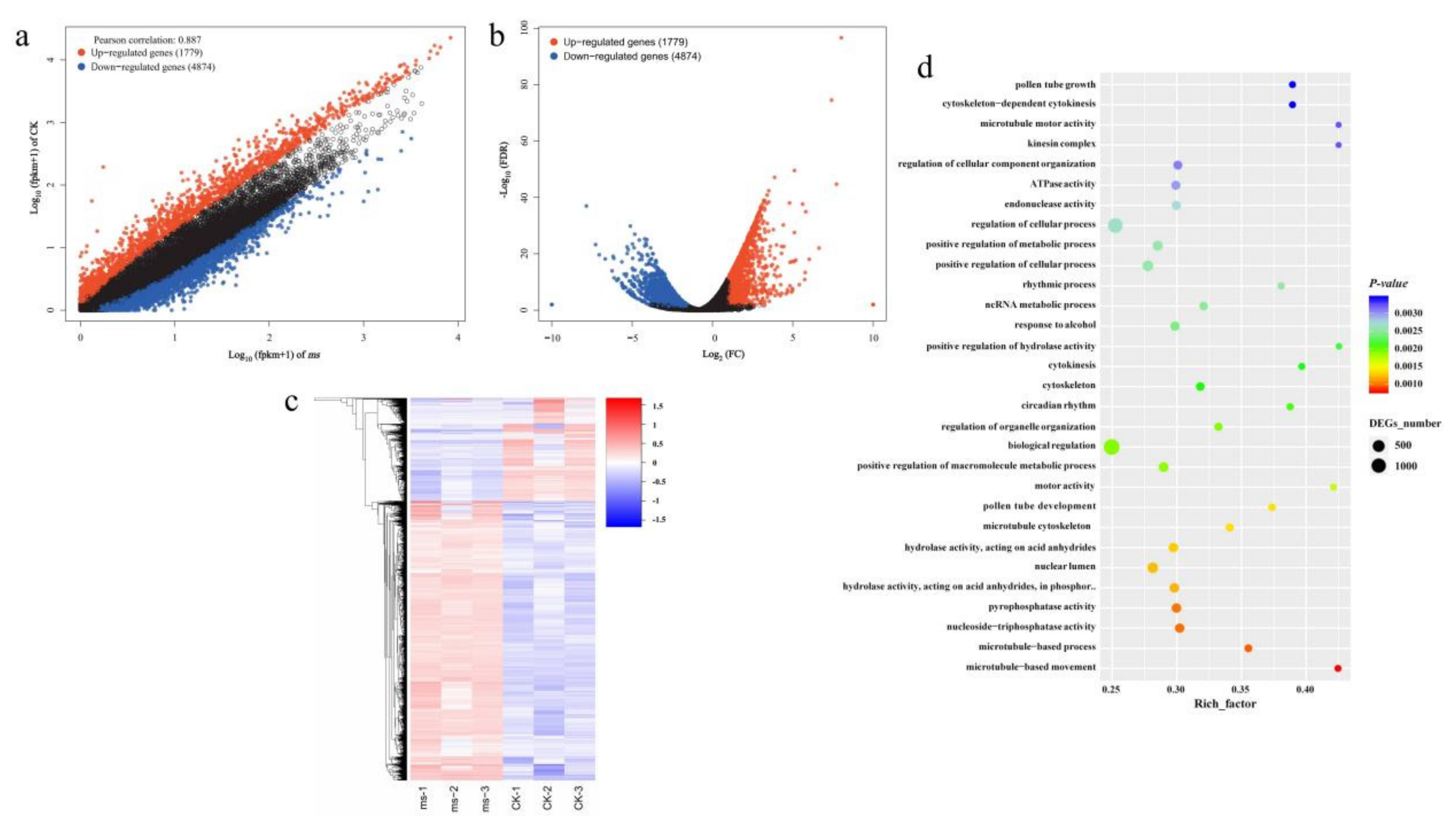 Agriculture 12 00686 g004