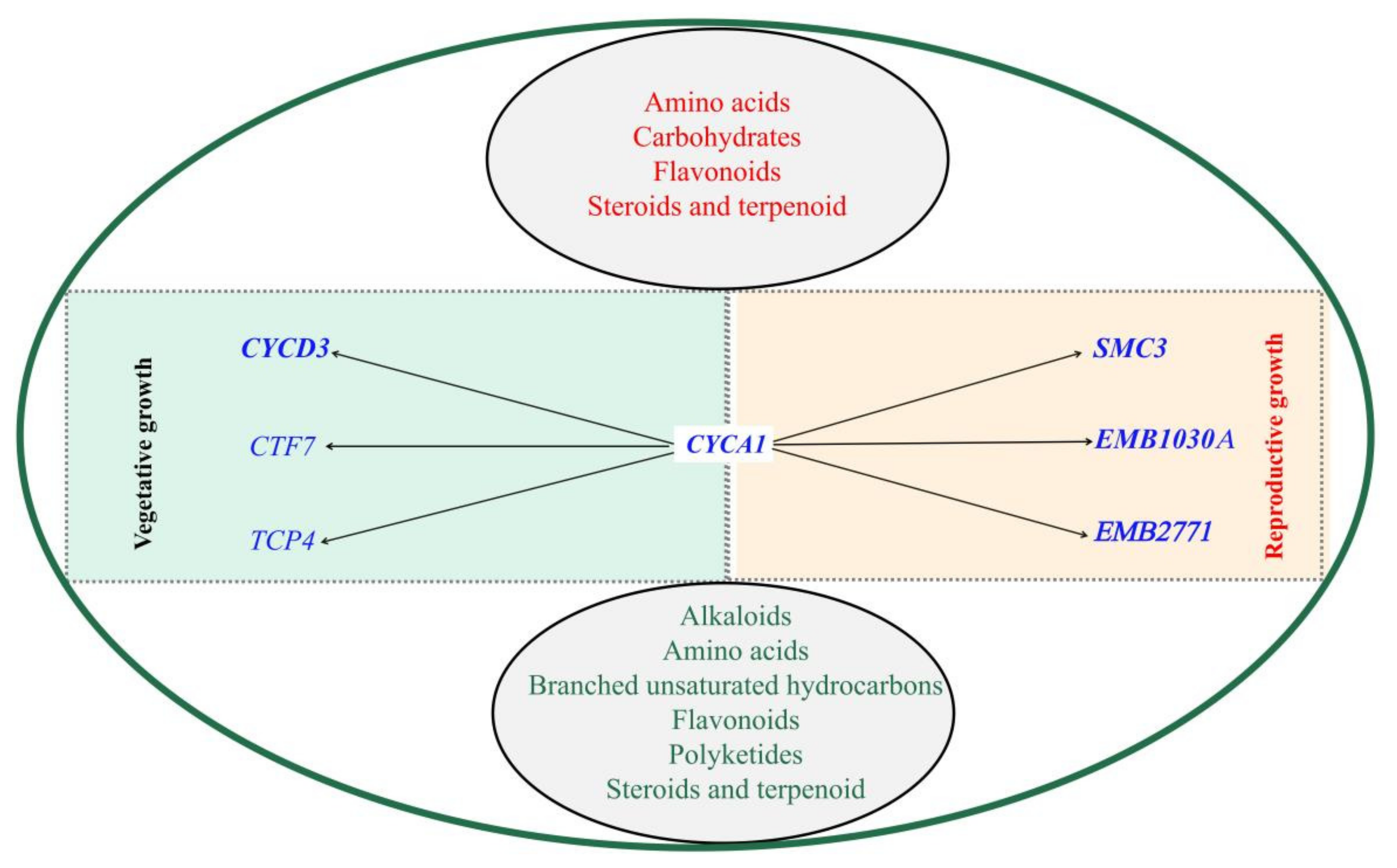 Agriculture 12 00686 g007