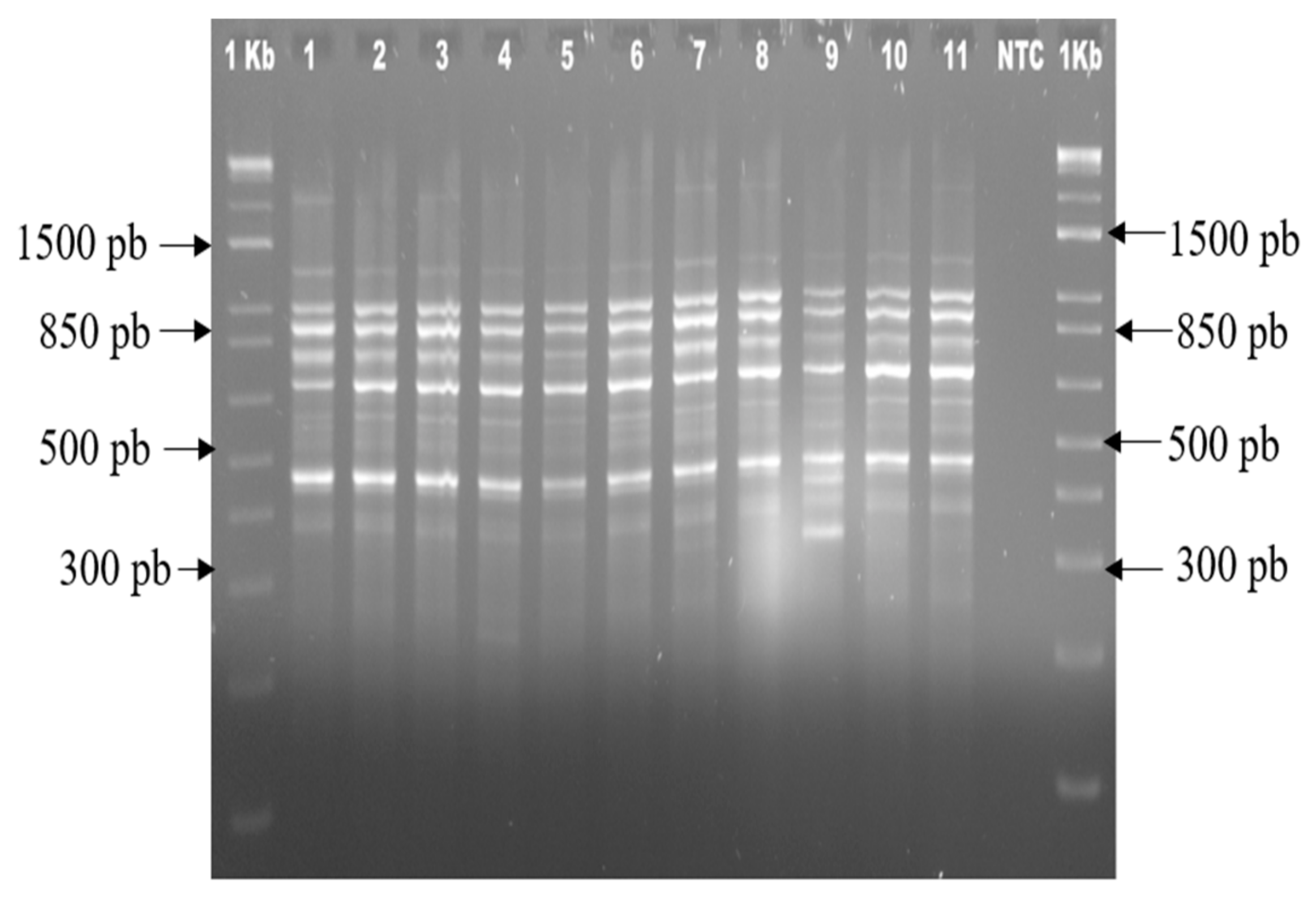 Agriculture 12 00713 g008
