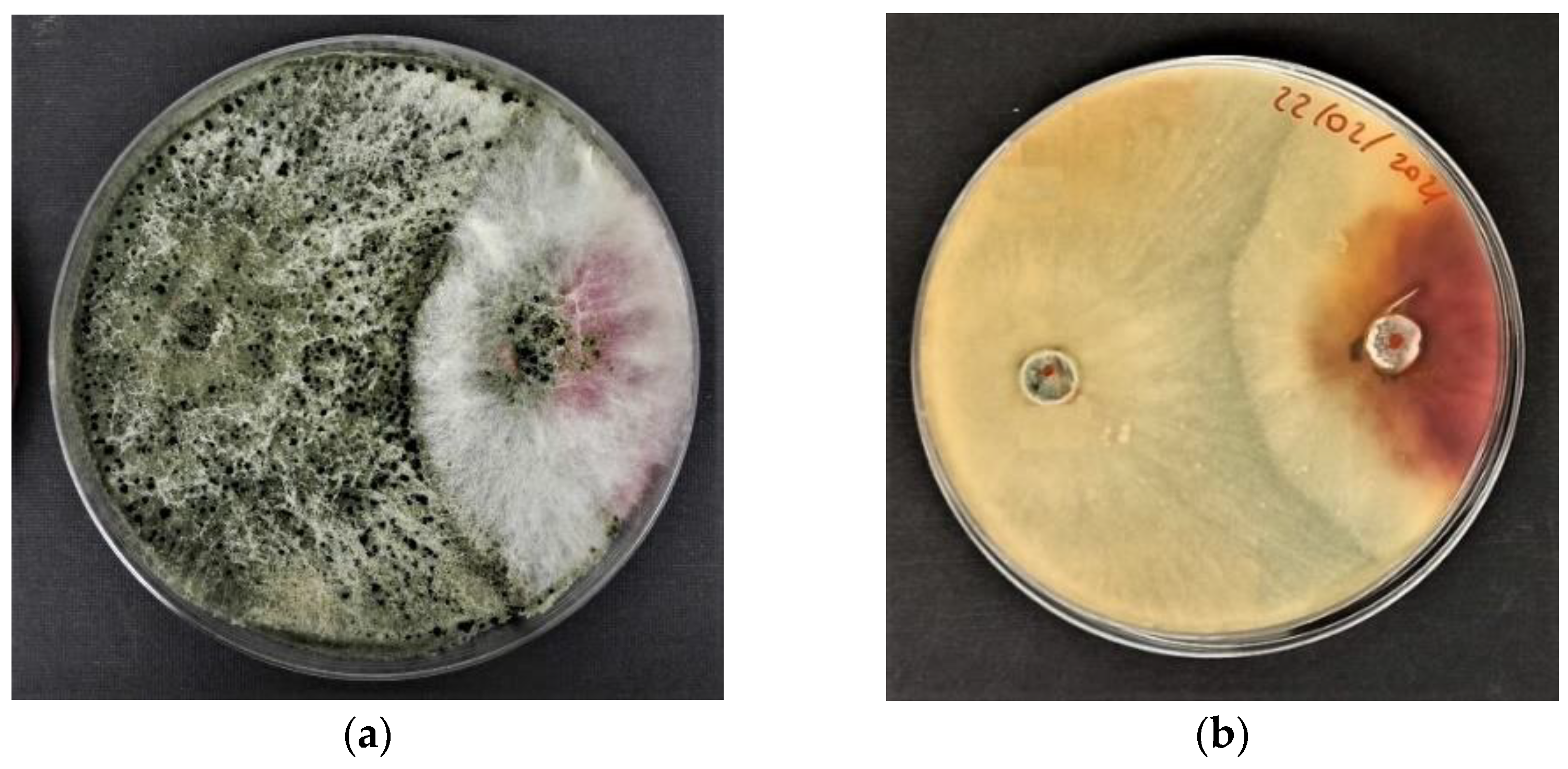 Agriculture 12 00714 g001