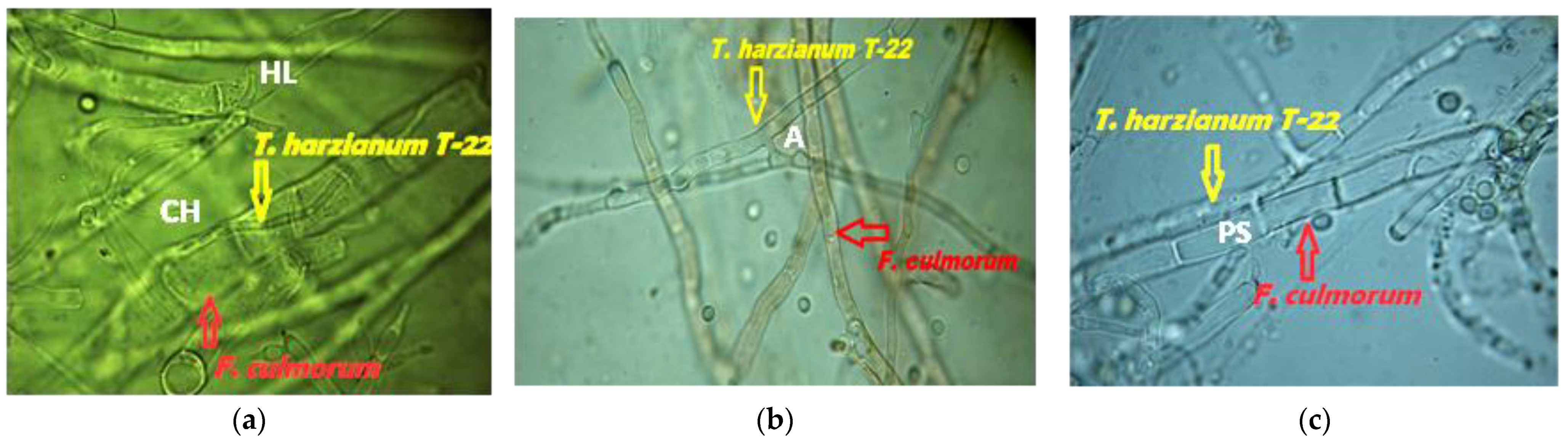 Agriculture 12 00714 g002