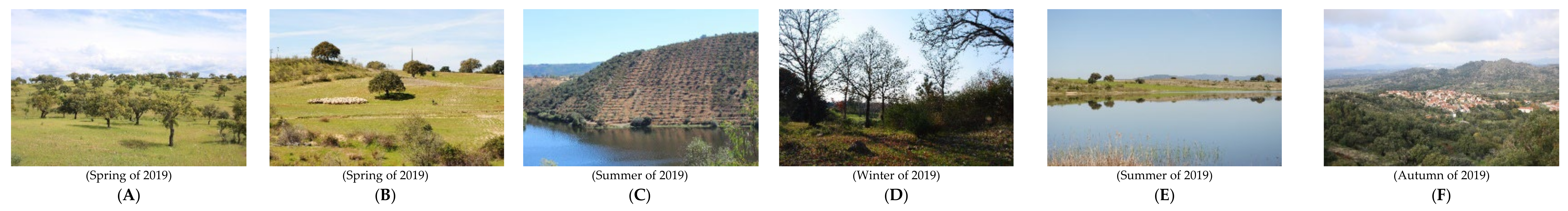 Agriculture 12 00716 g004 Agriculture 12 00716 g004