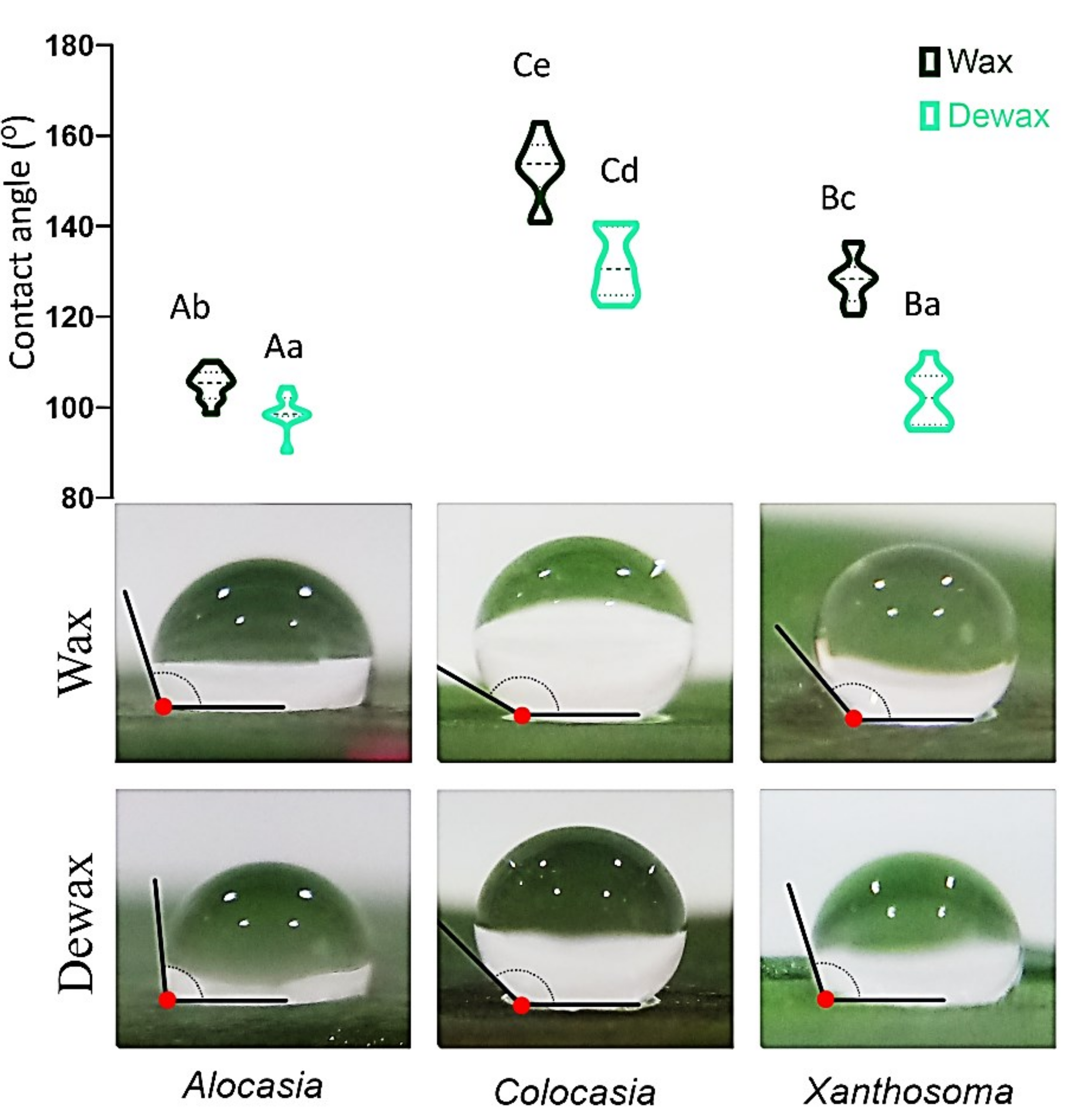 Agriculture 12 00724 g003
