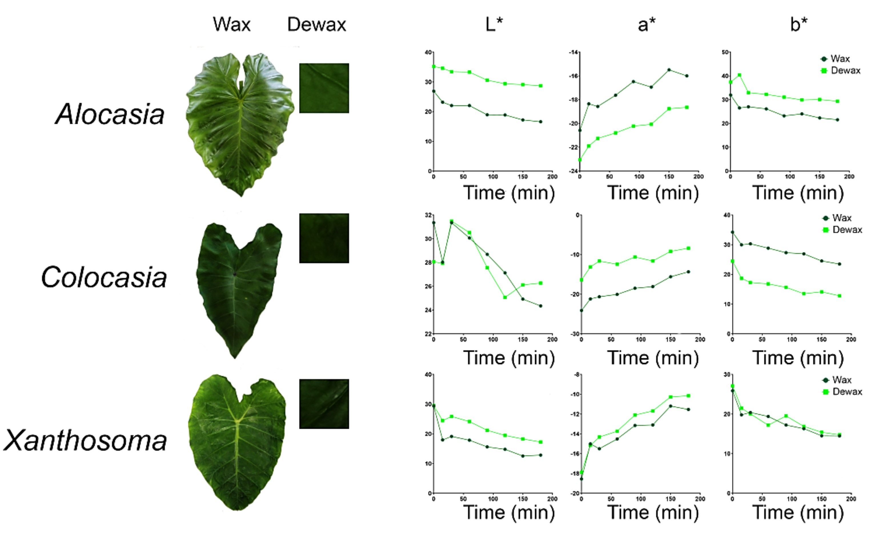 Agriculture 12 00724 g005