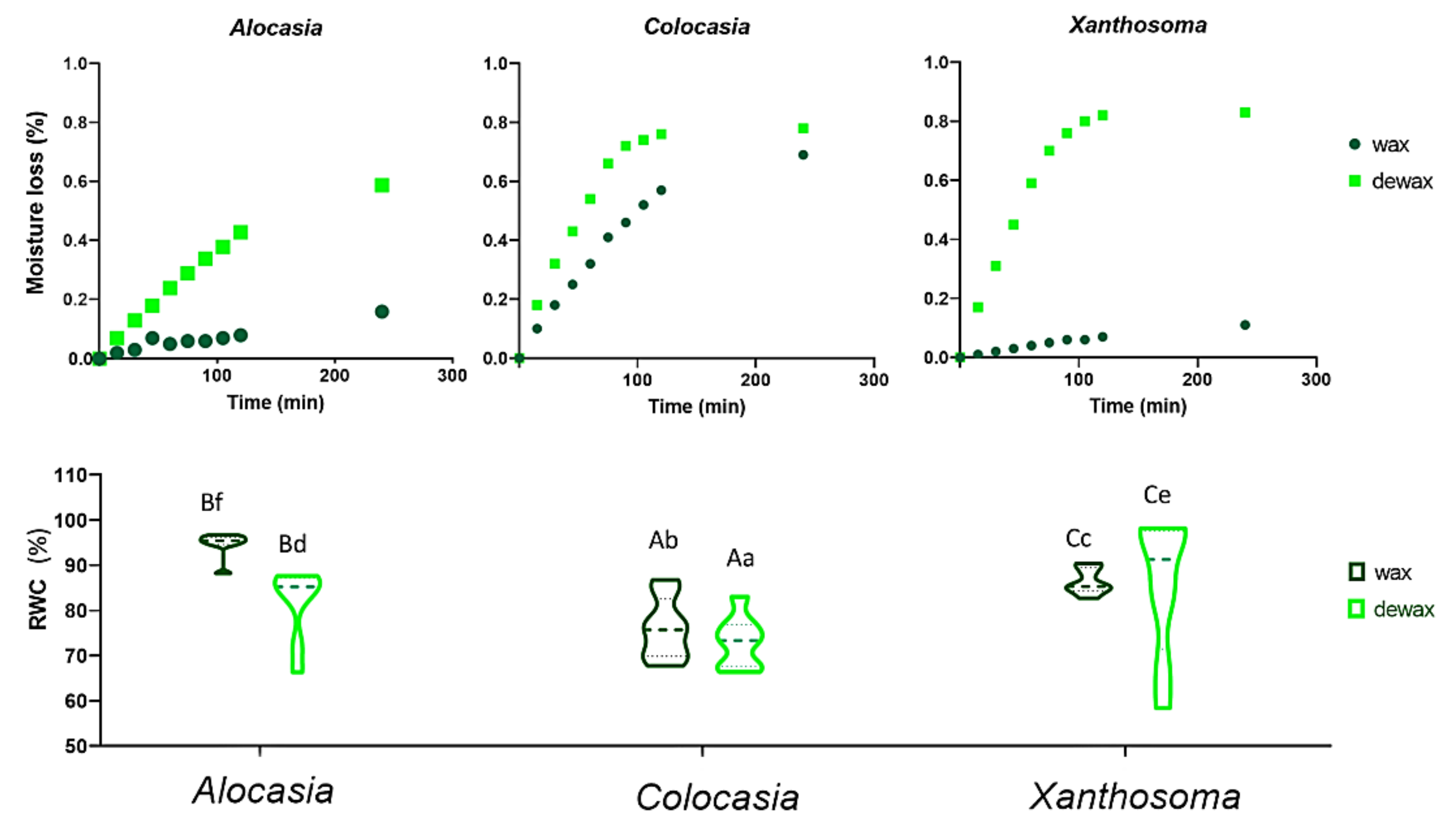 Agriculture 12 00724 g006