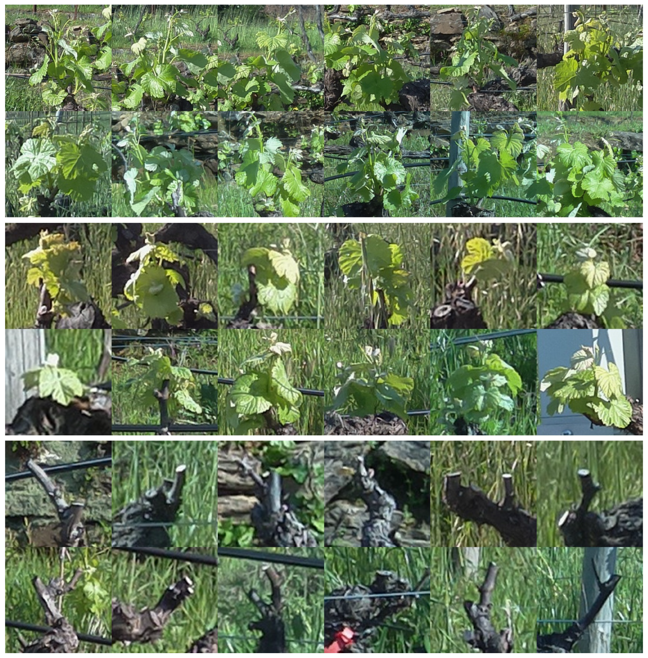 Agriculture 12 00730 g006 550