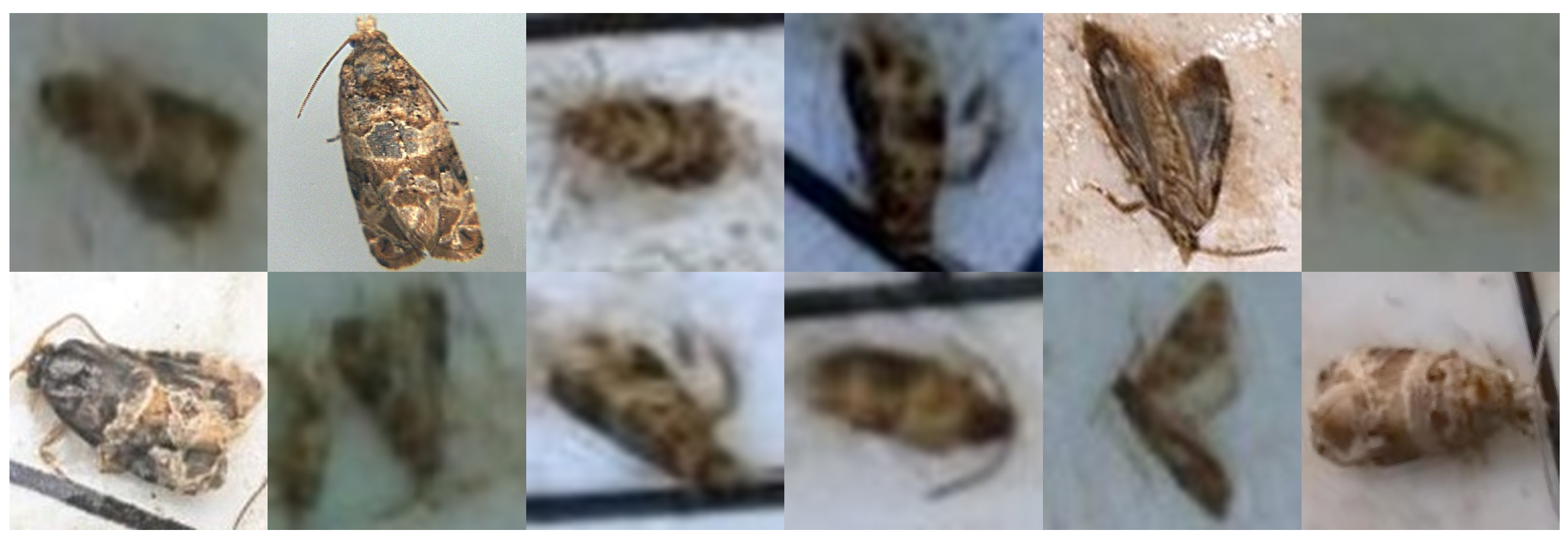 Agriculture 12 00730 g007 550