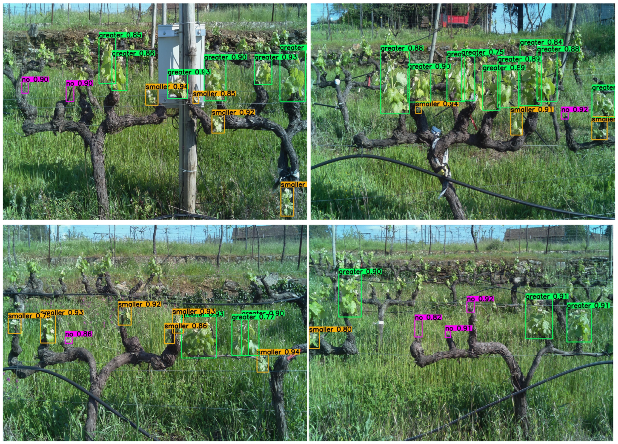 Agriculture 12 00730 g009 550