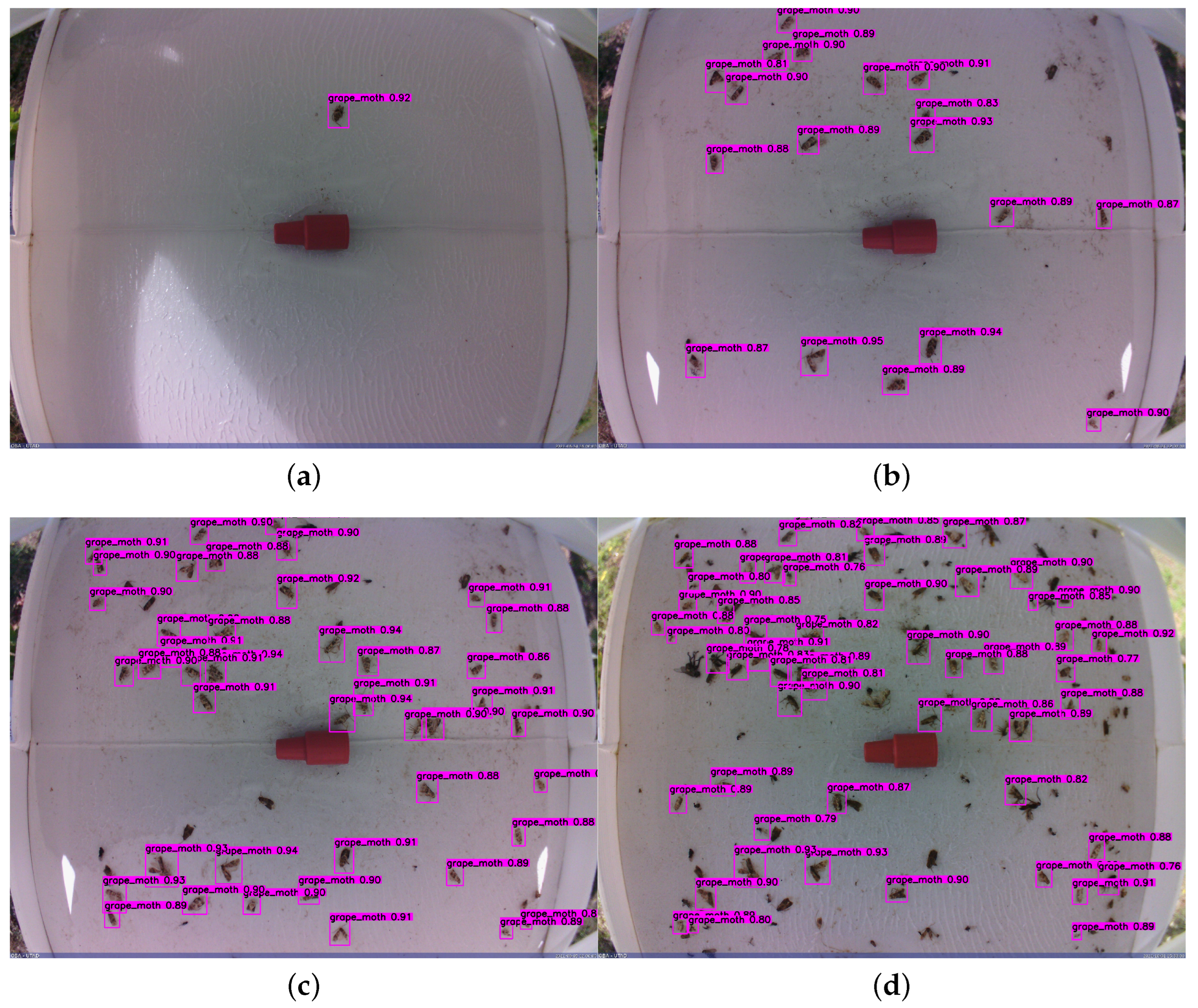 Agriculture 12 00730 g012 550