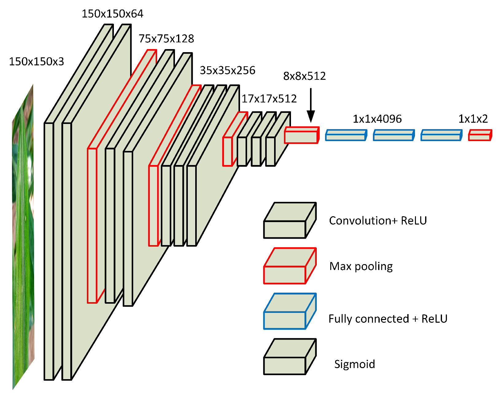 Agriculture 12 00742 g004 550