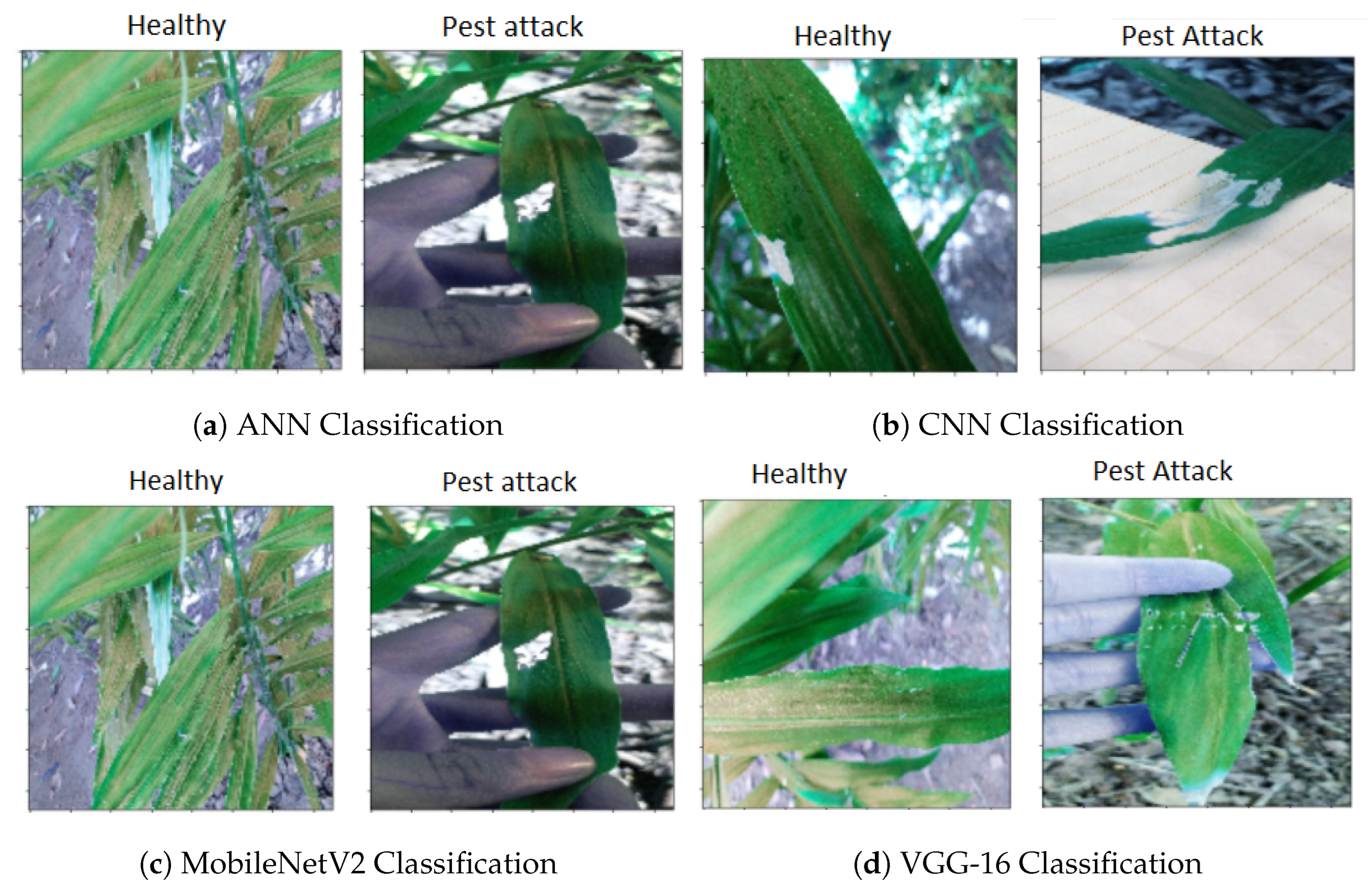 Agriculture 12 00742 g007 550