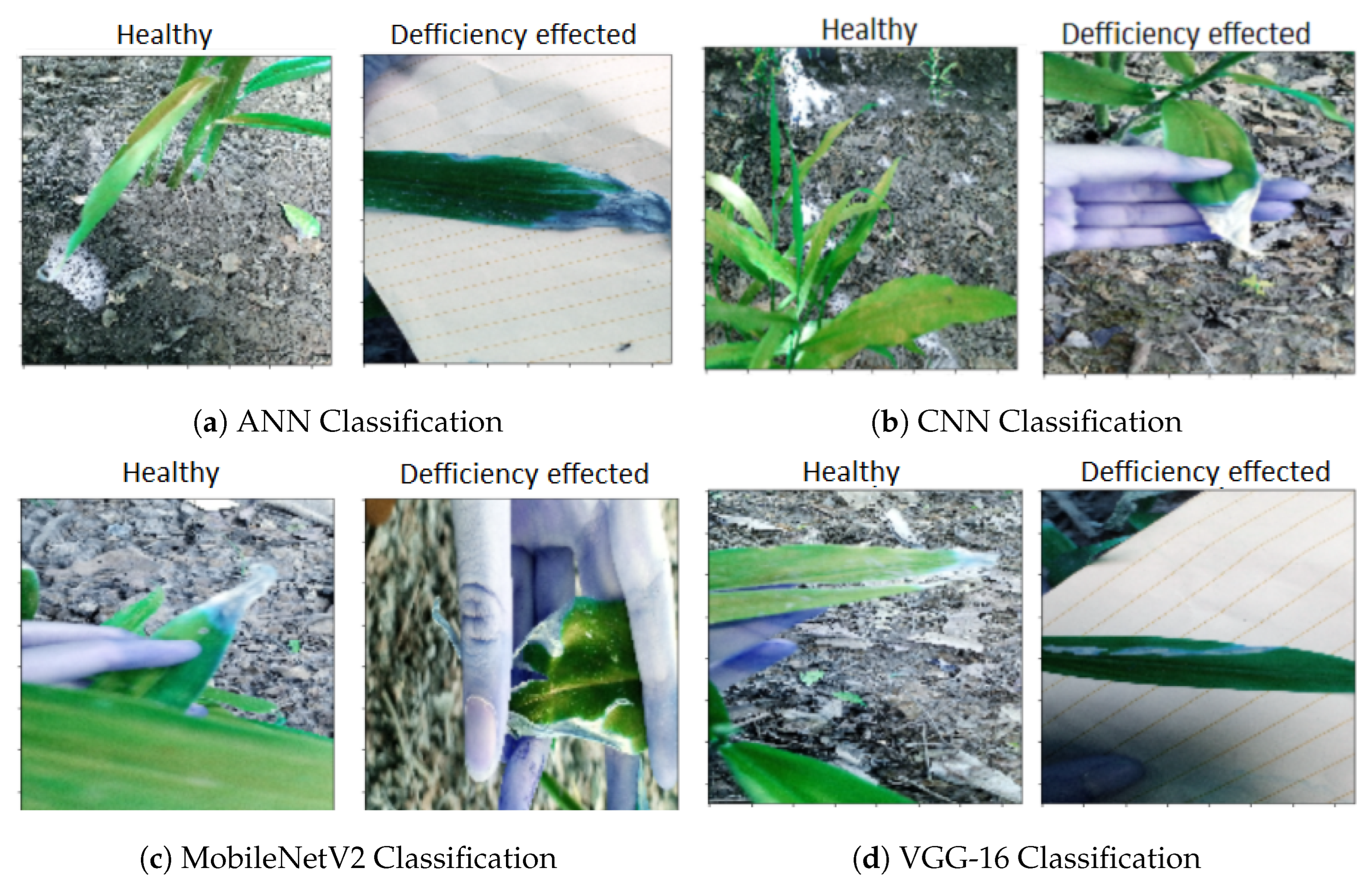 Agriculture 12 00742 g011 550