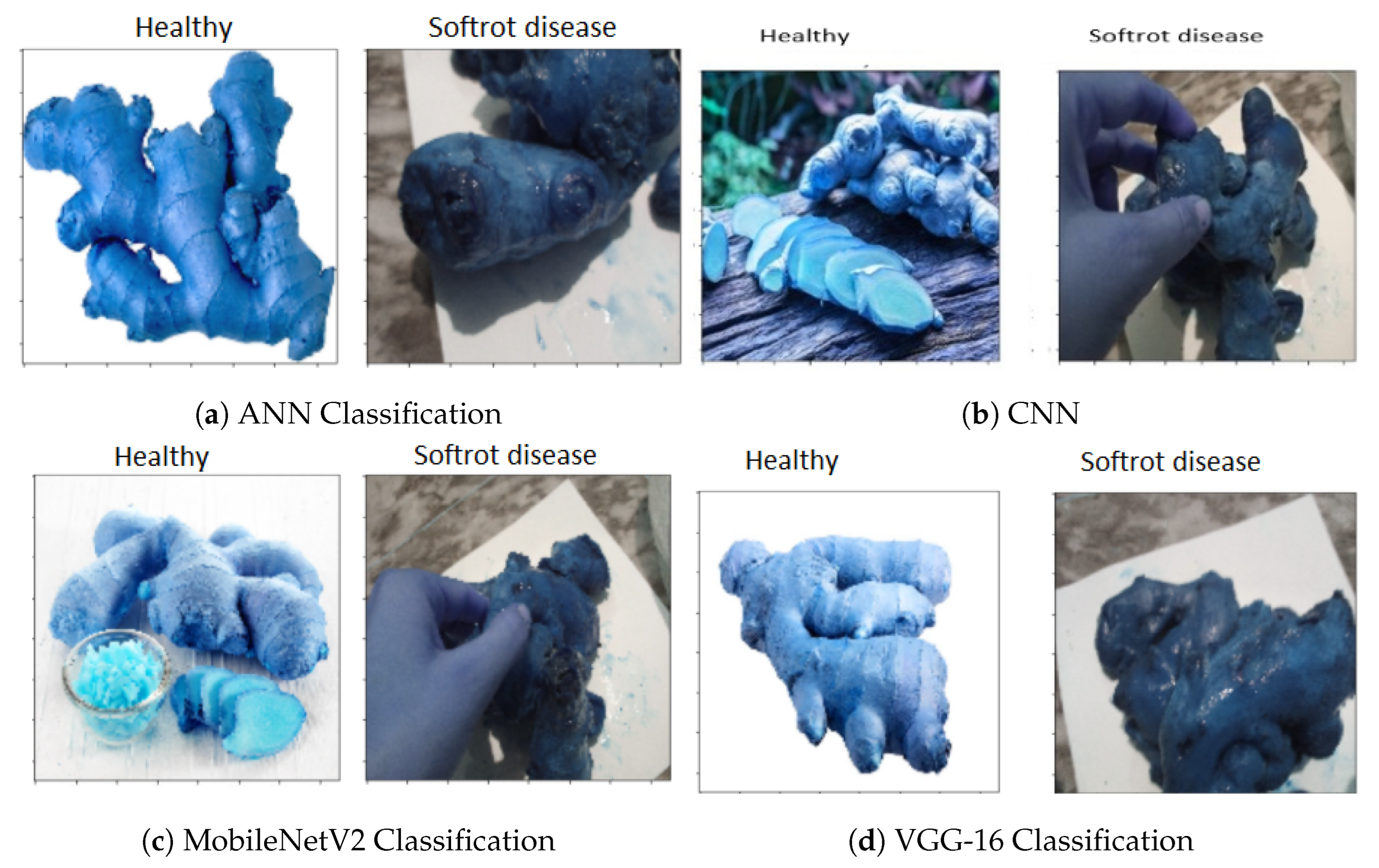 Agriculture 12 00742 g015 550