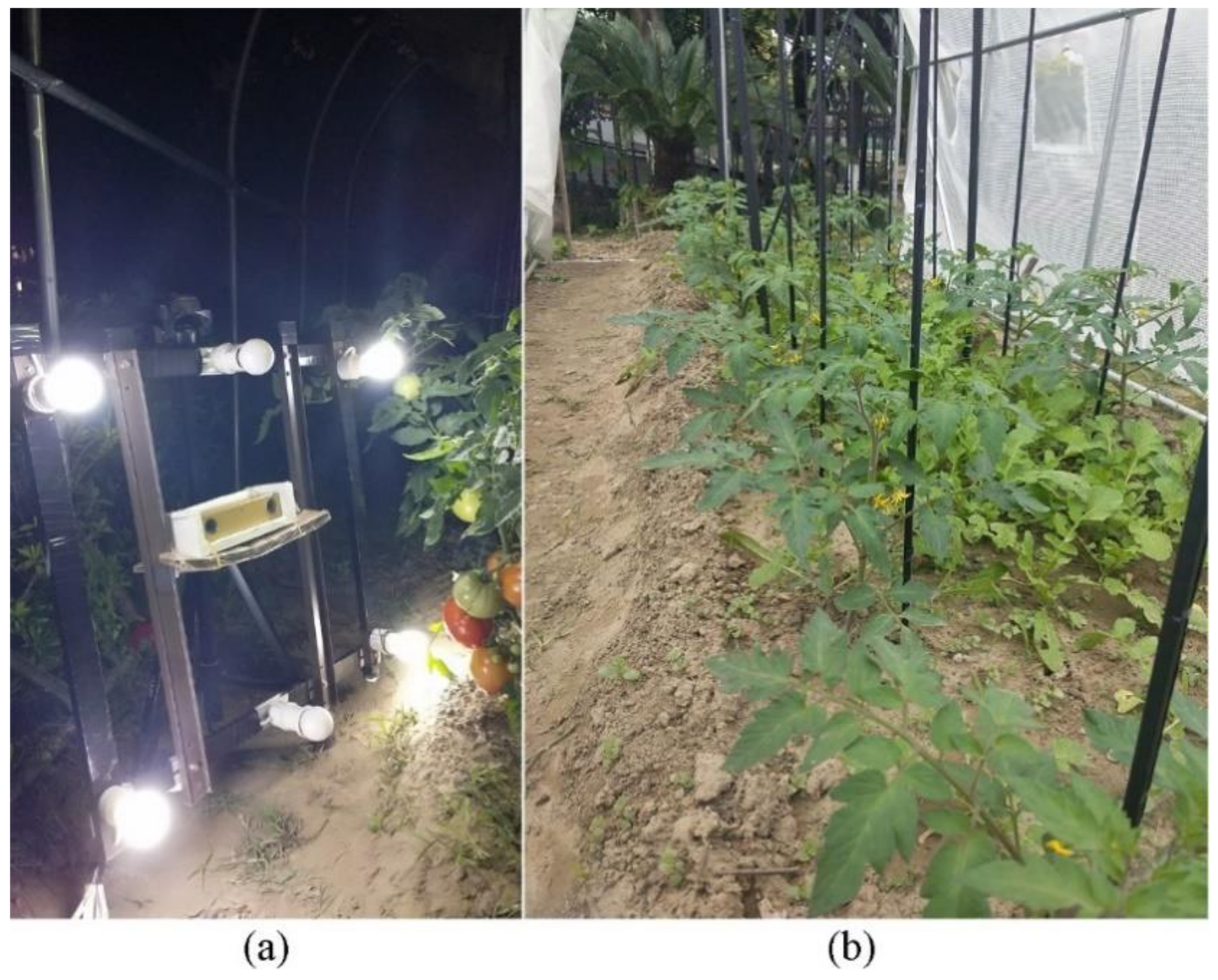 Agriculture 12 00743 g001 550