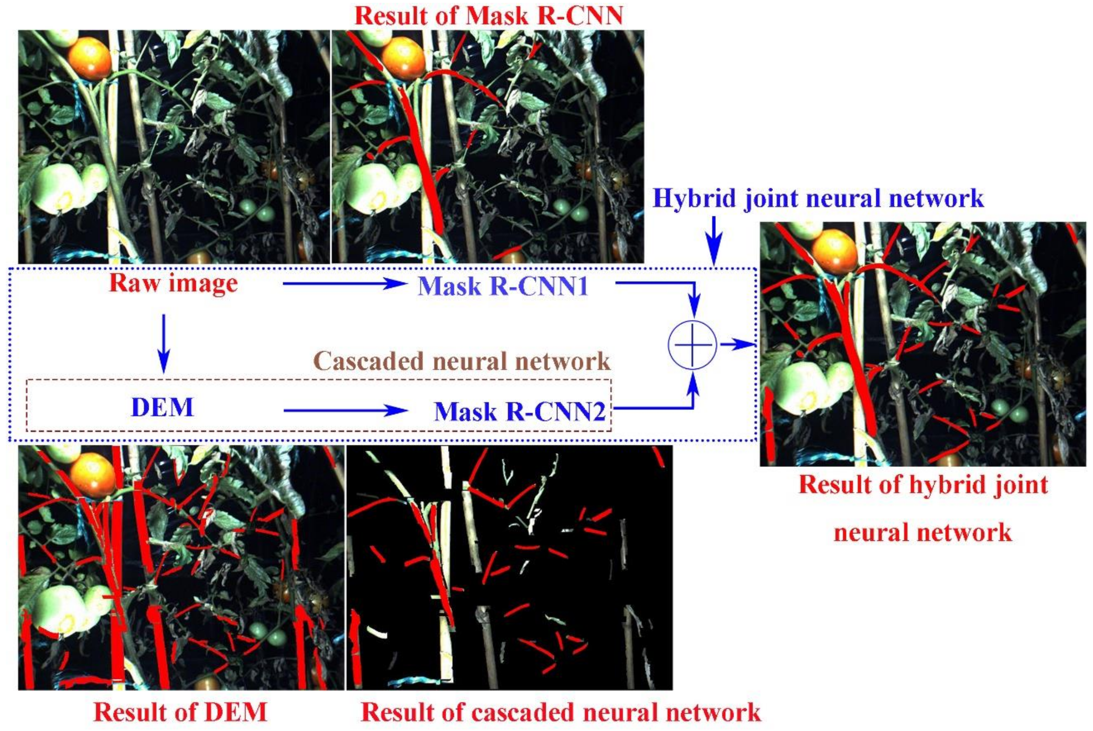 Agriculture 12 00743 g002 550