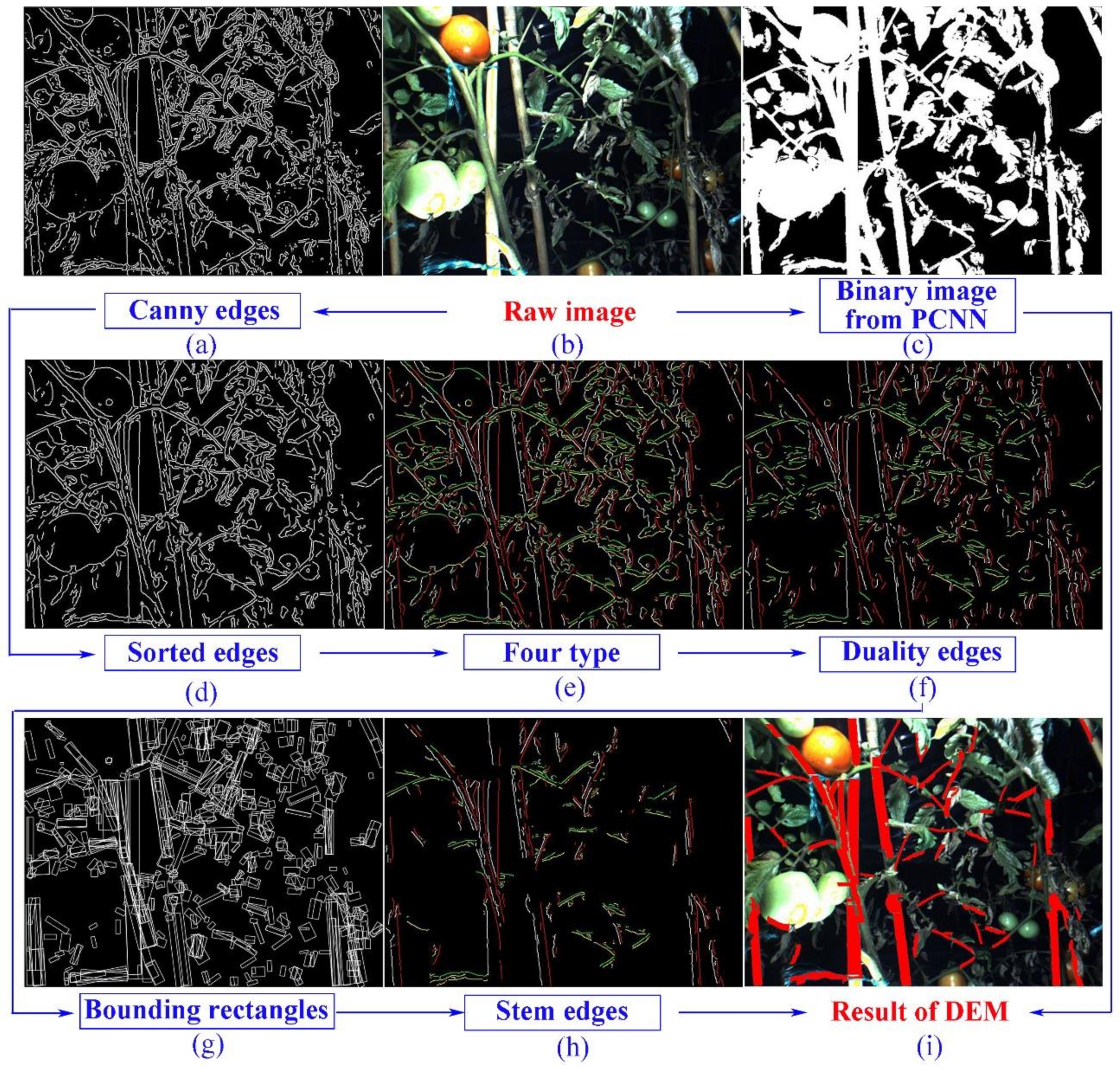 Agriculture 12 00743 g003 550