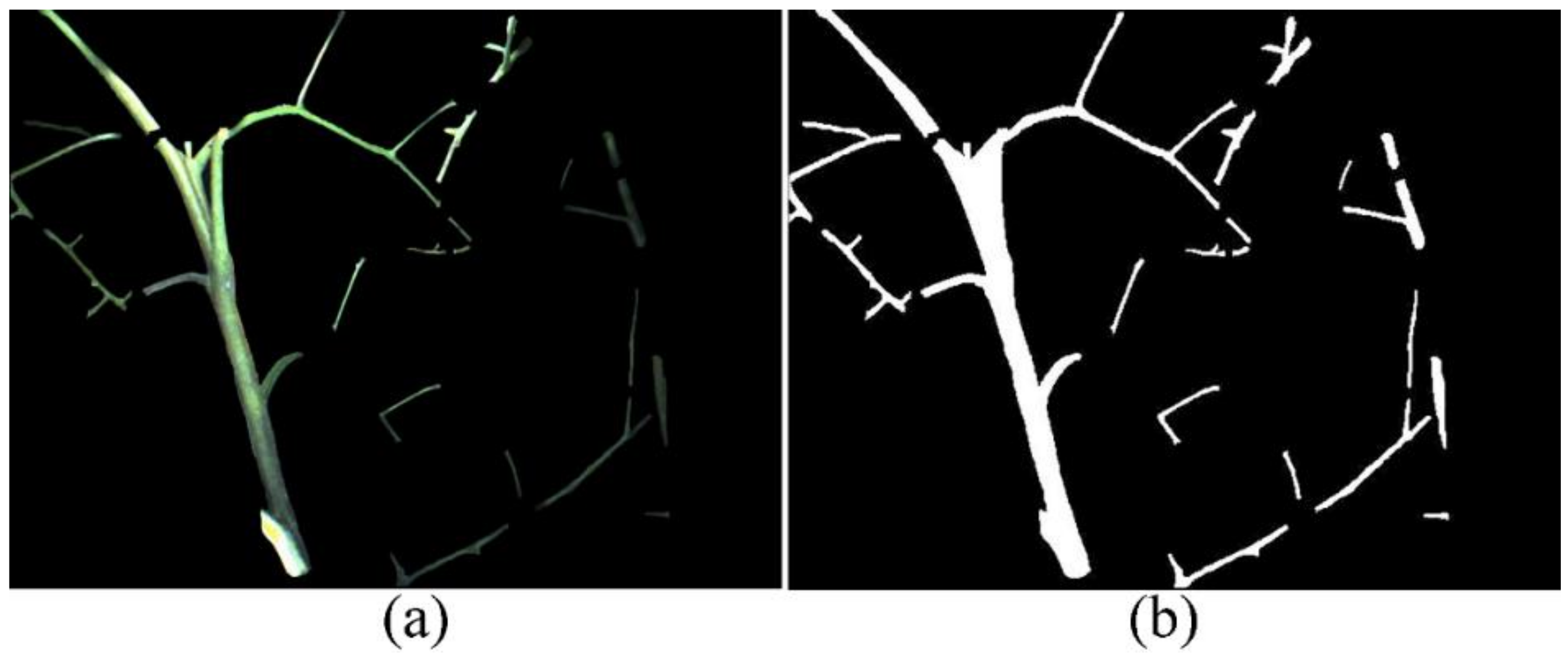 Agriculture 12 00743 g006 550