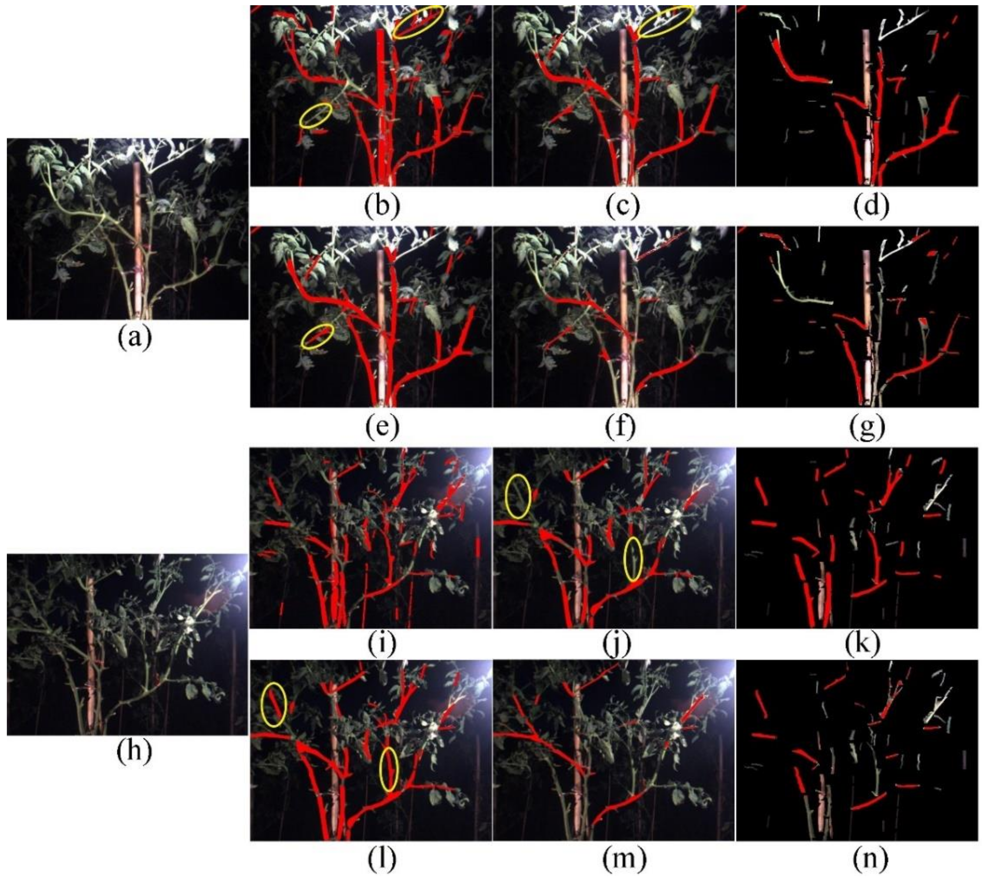 Agriculture 12 00743 g008 550