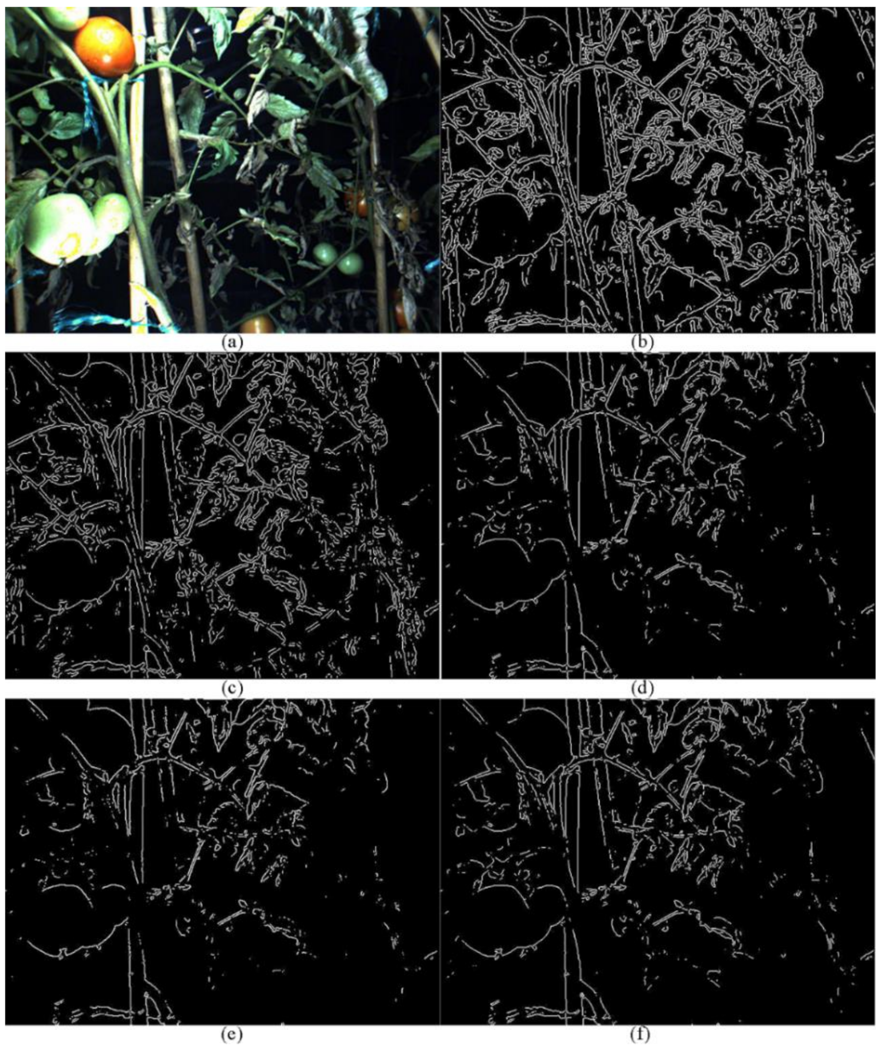 Agriculture 12 00743 g0a2 550