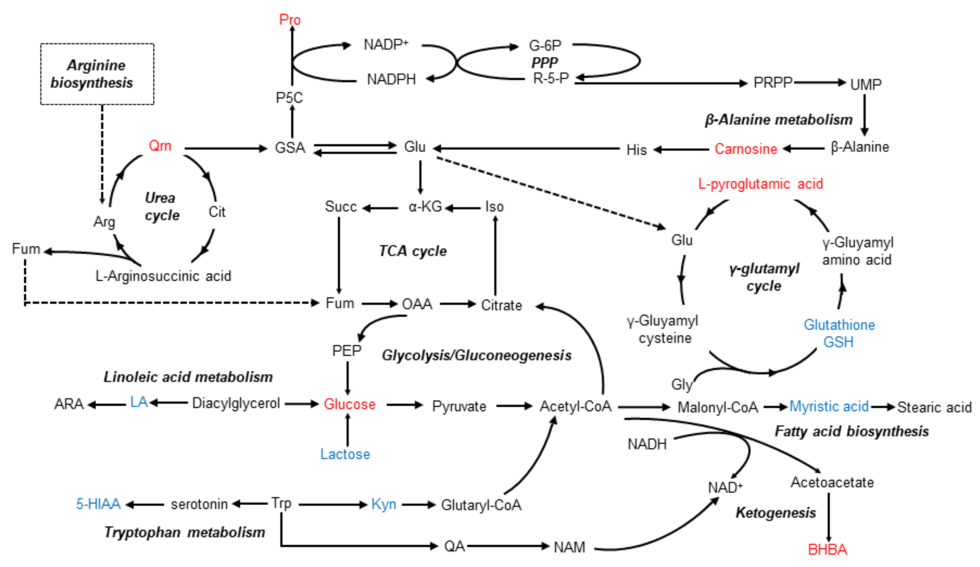 Agriculture 12 00744 g004 550