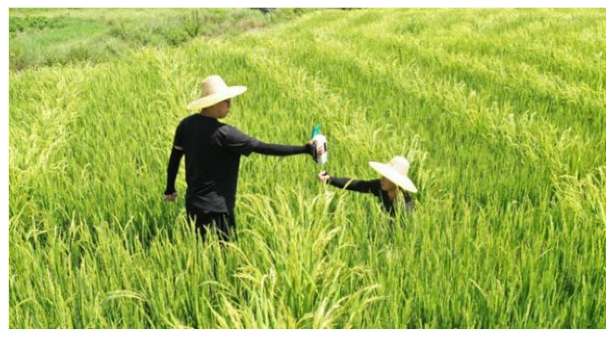 Agriculture 12 00755 g002 550