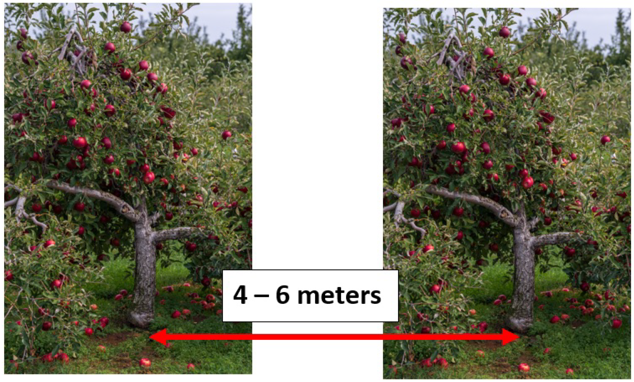 Agriculture 12 00756 g001 550