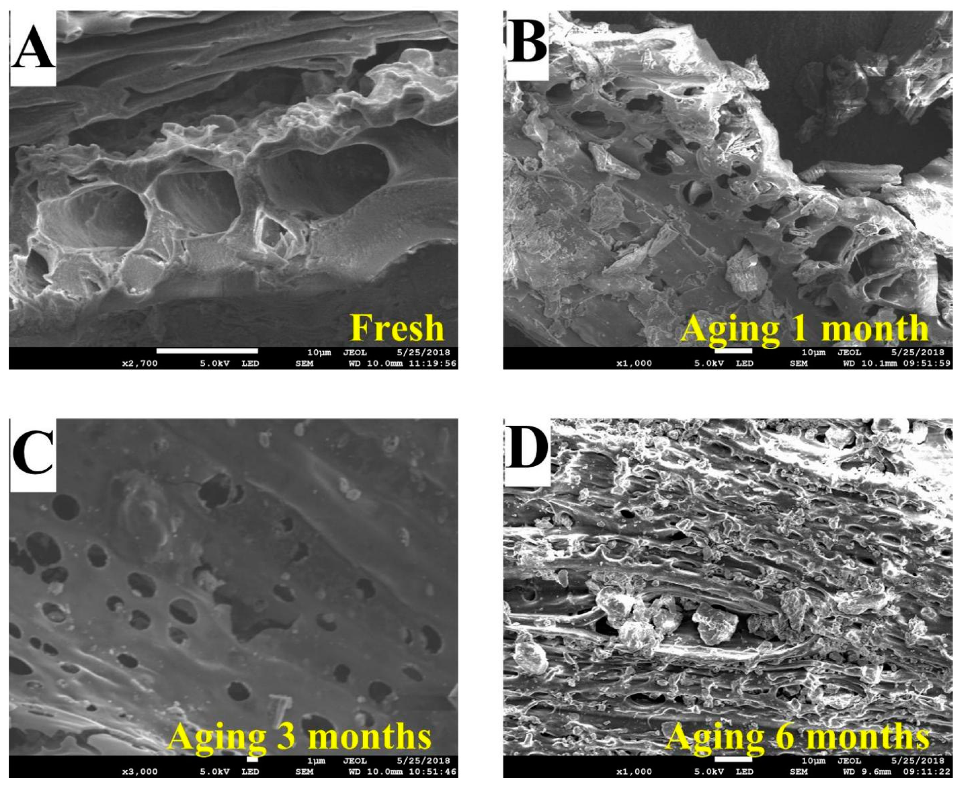 Agriculture 12 00765 g001 550