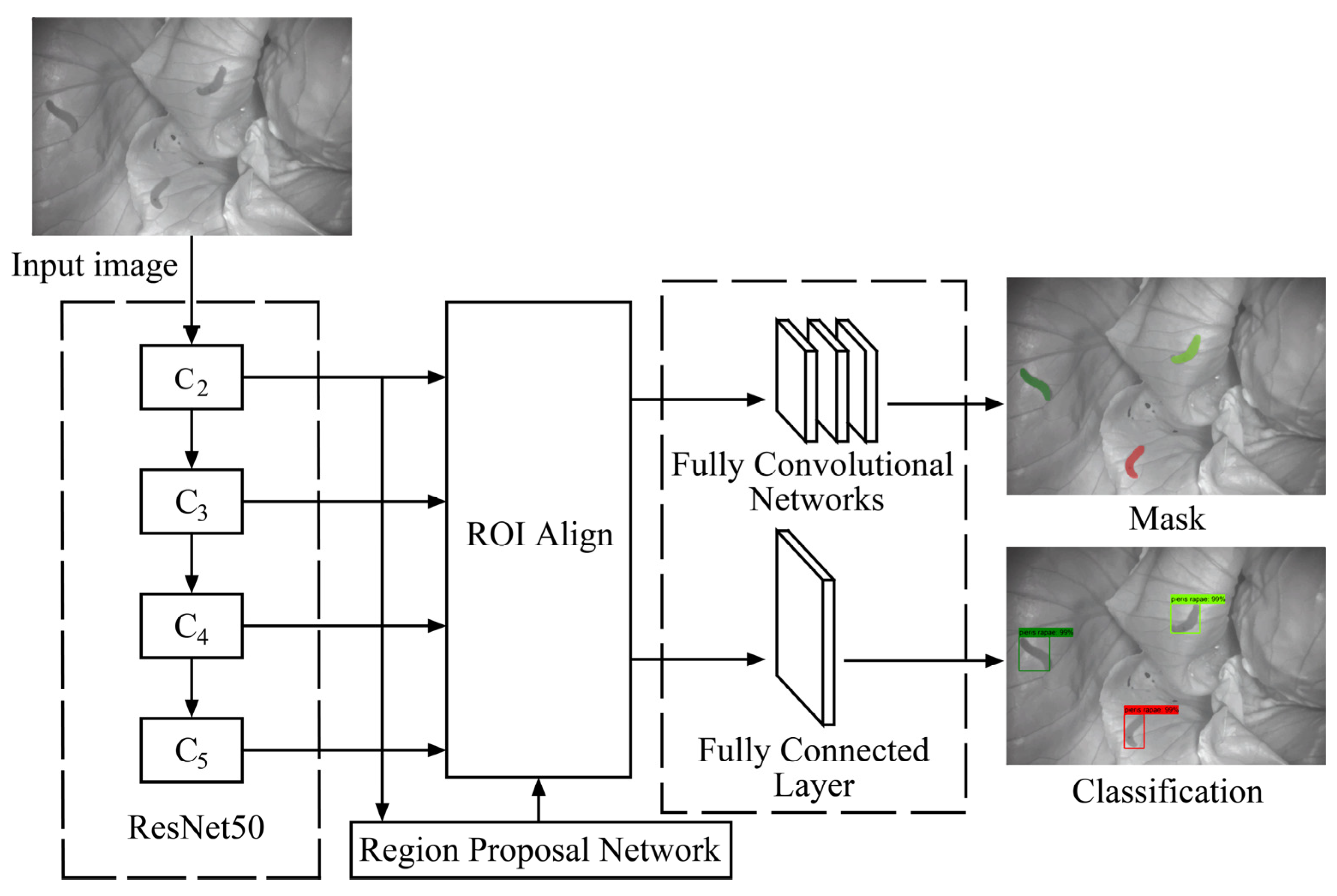 Agriculture 12 00766 g004 550