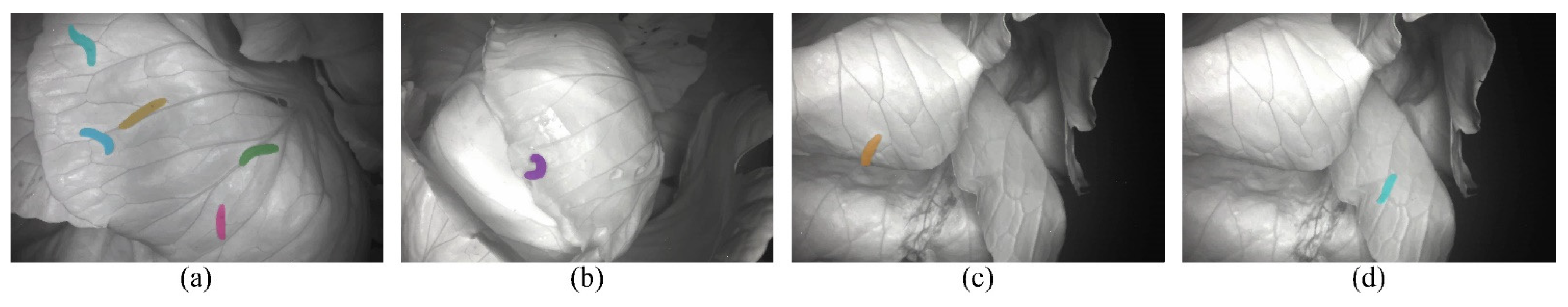 Agriculture 12 00766 g005 550