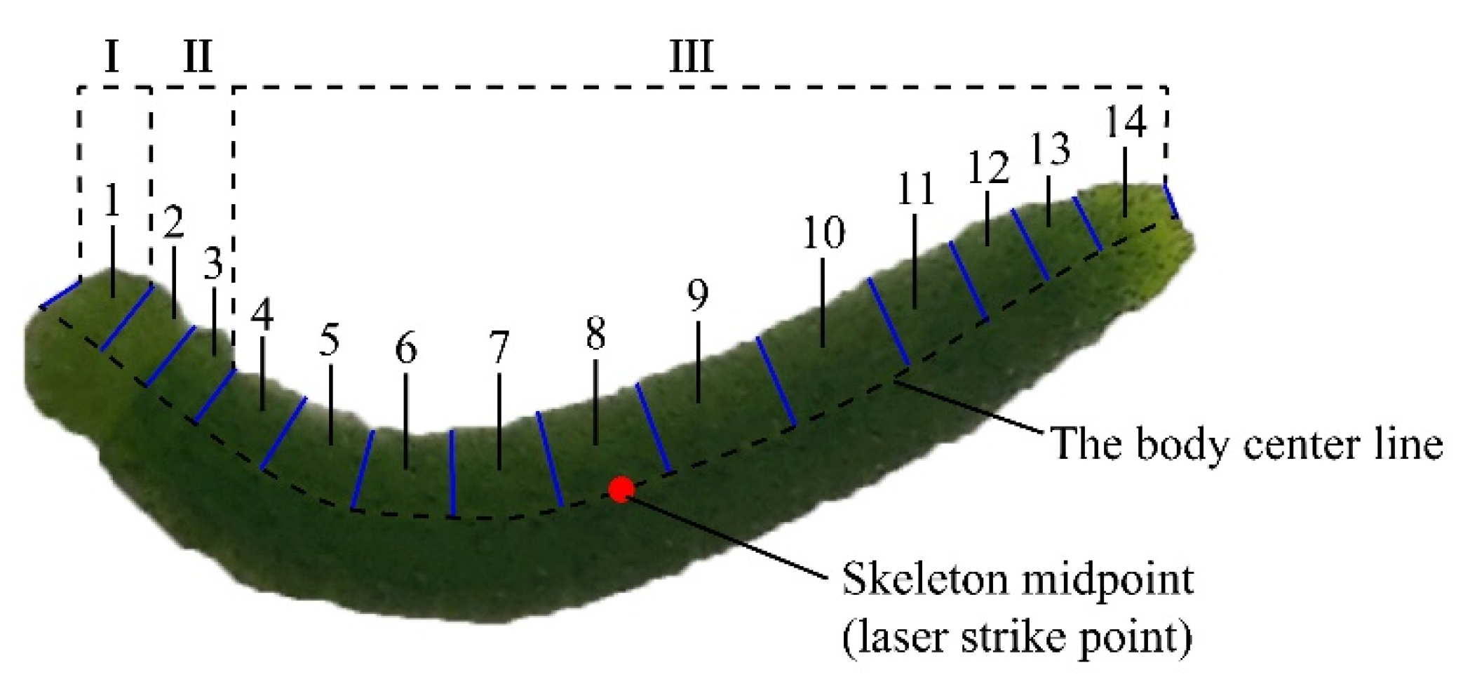 Agriculture 12 00766 g006 550