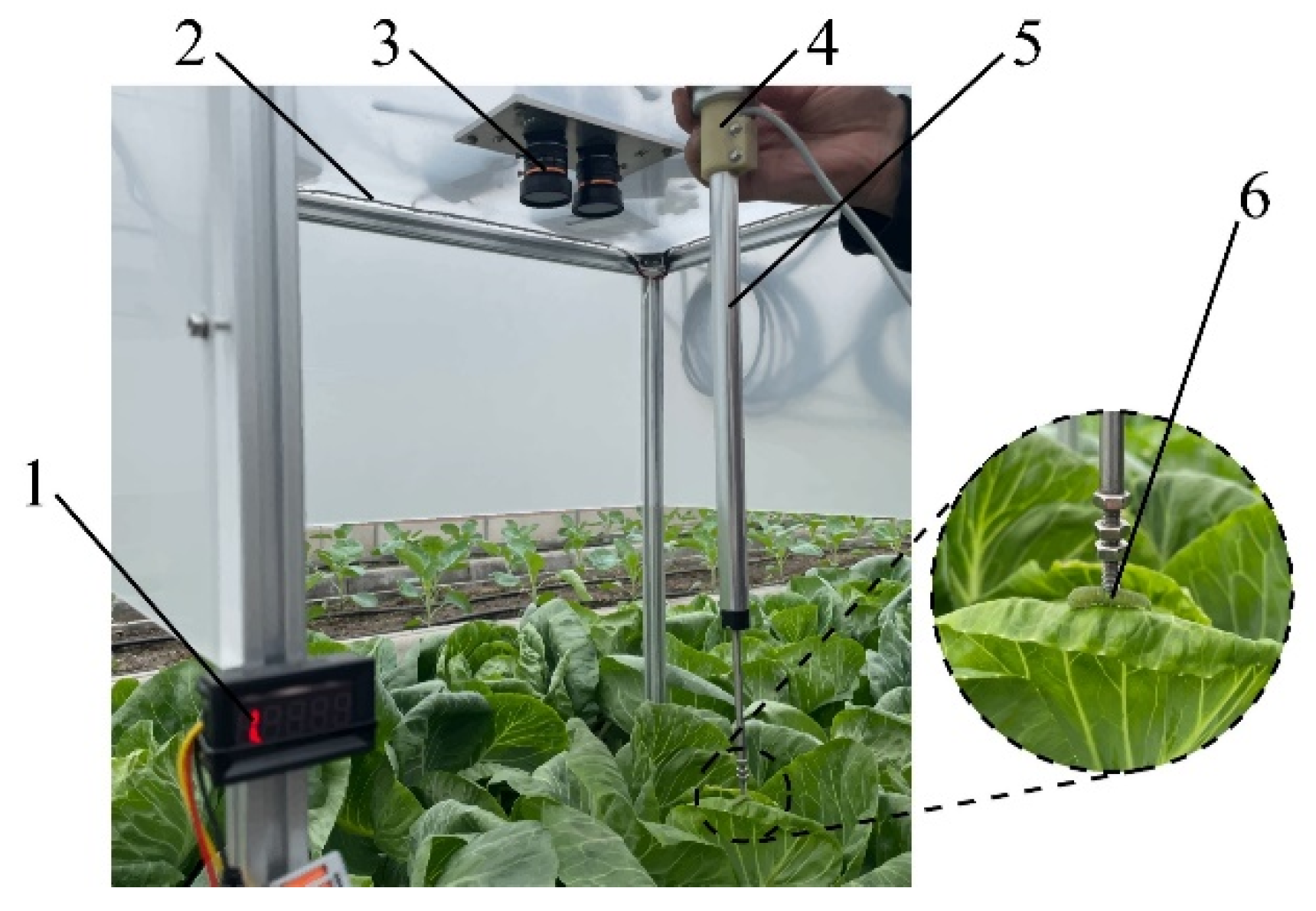 Agriculture 12 00766 g015 550