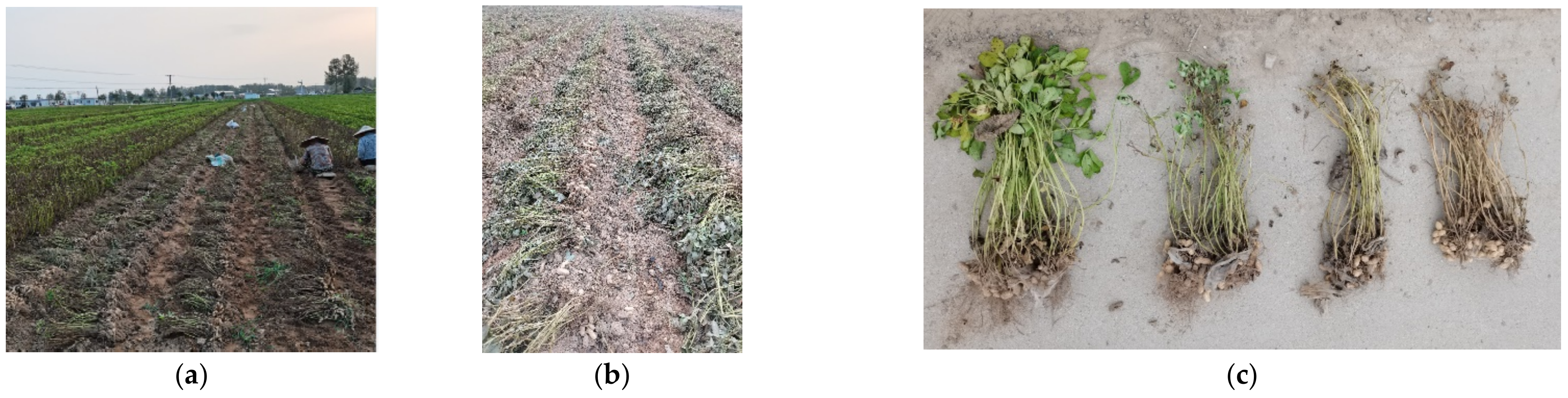 Agriculture 12 00769 g007a 550