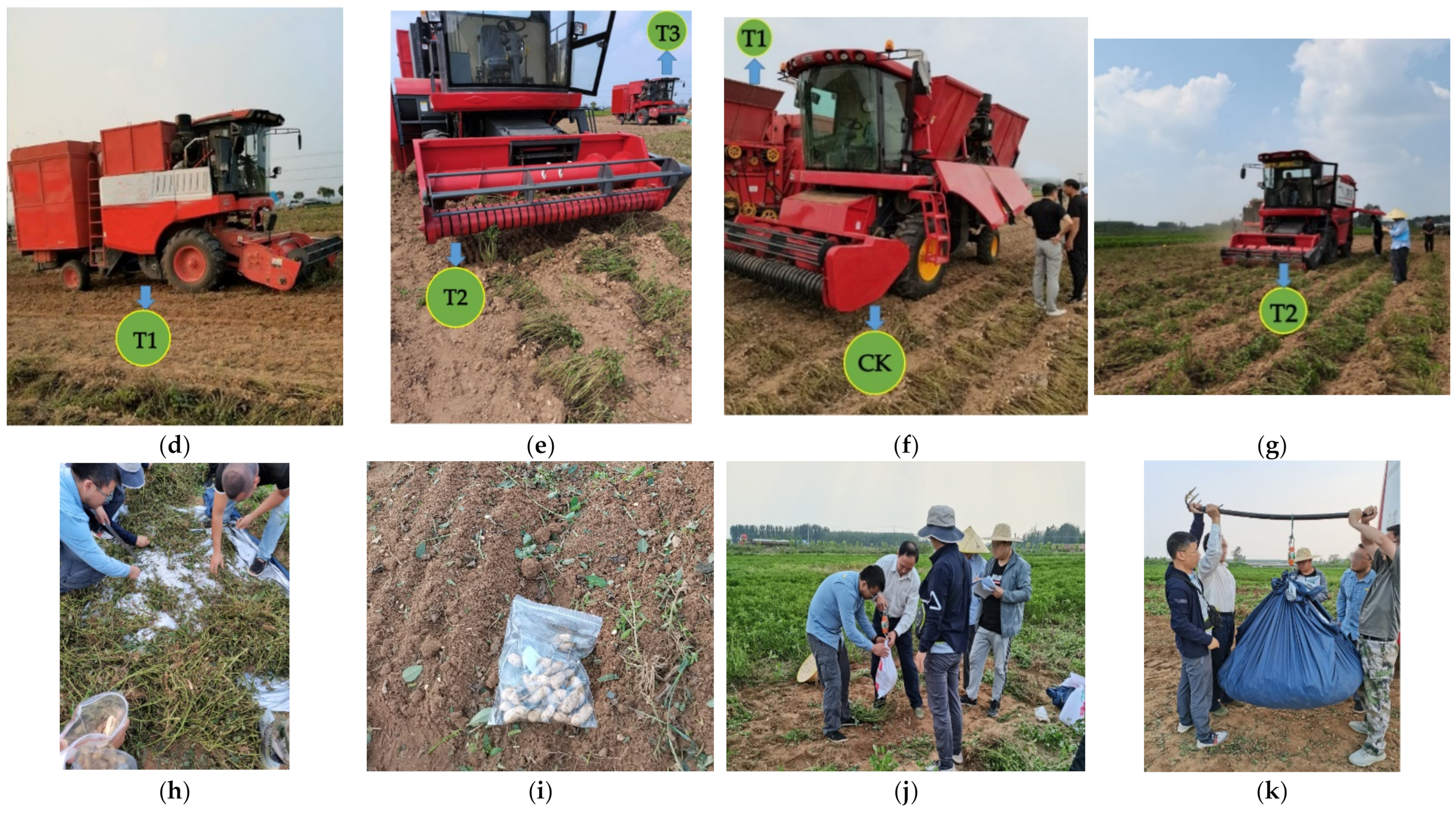 Agriculture 12 00769 g007b 550