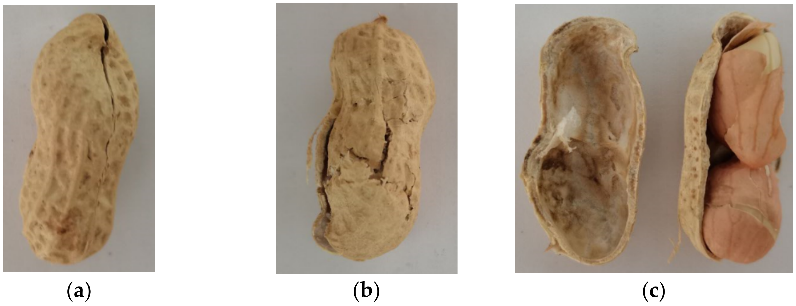 Agriculture 12 00769 g011 550