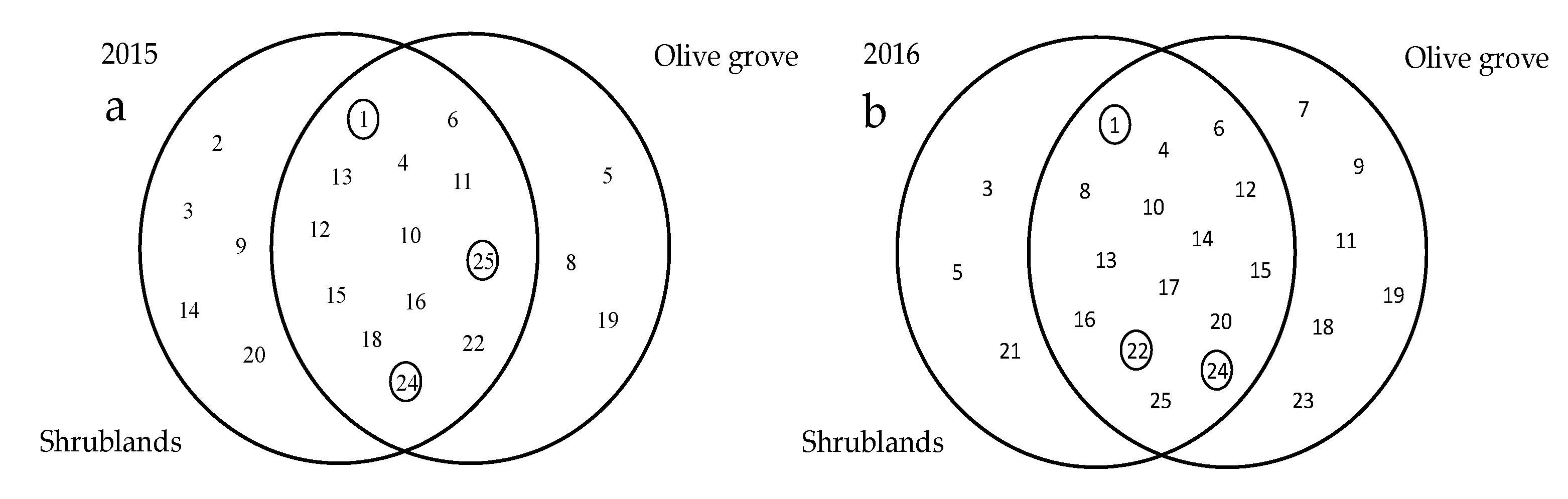 Agriculture 12 00771 g001