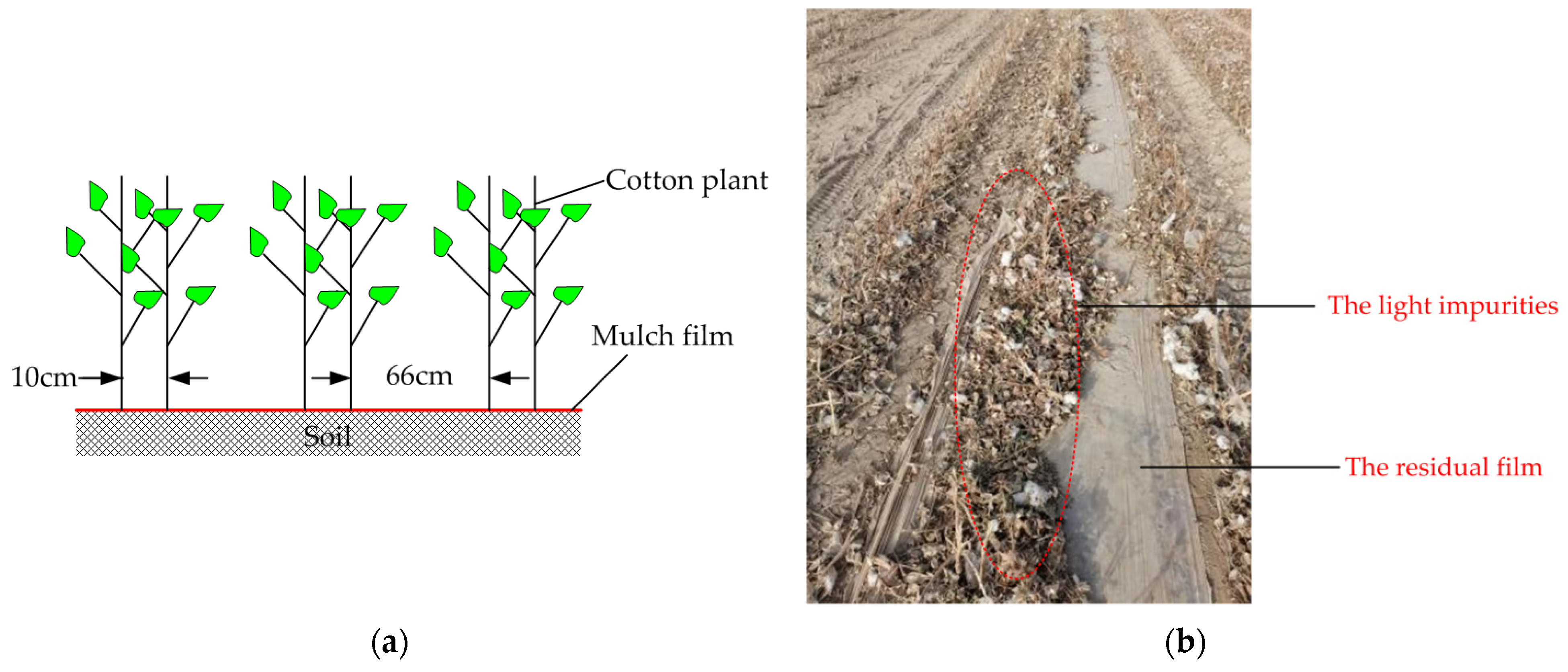 Agriculture 12 00775 g011 550