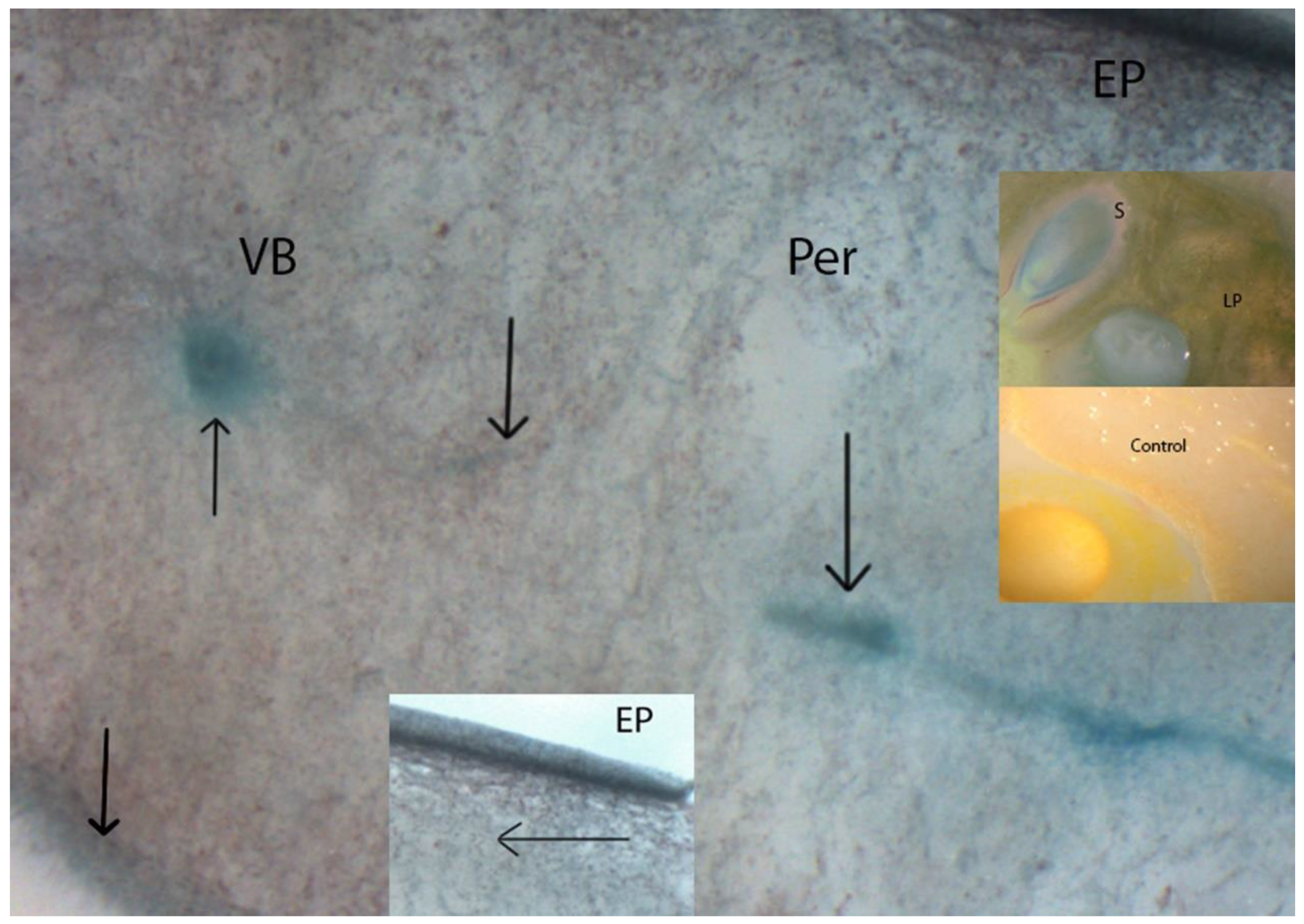 Agriculture 12 00778 g005