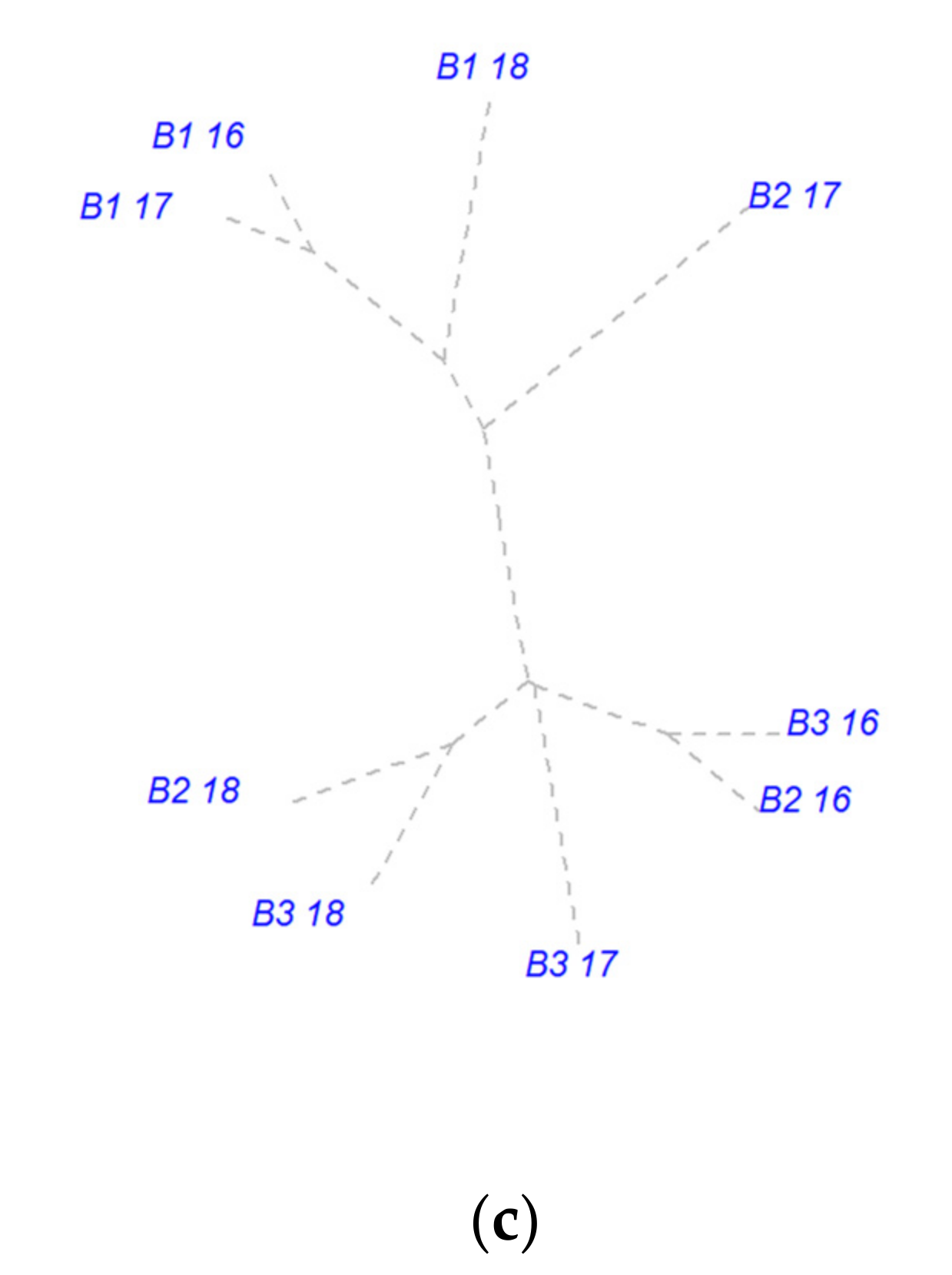 Agriculture 12 00789 g002b