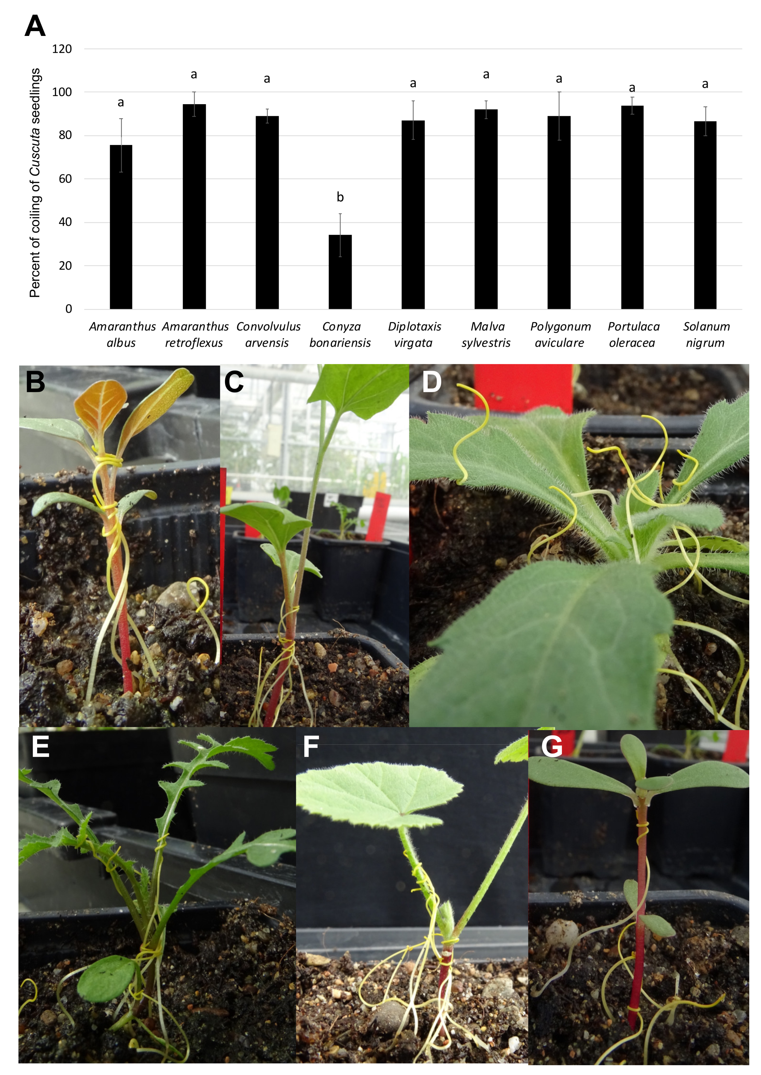 Agriculture 12 00790 g003