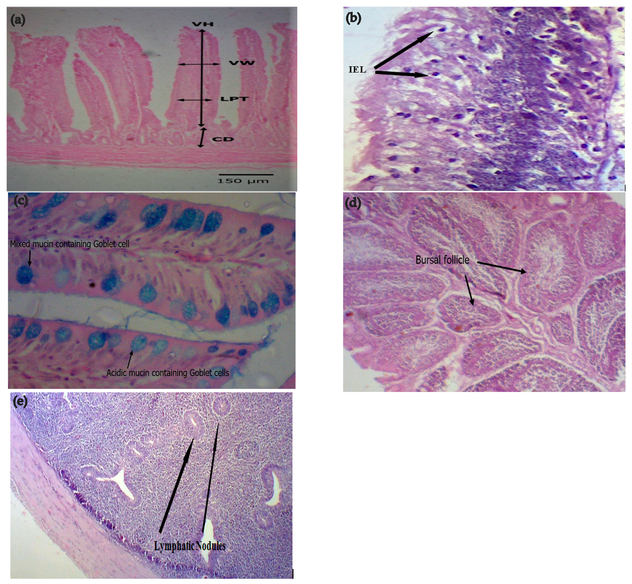 Agriculture 12 00791 g003 550