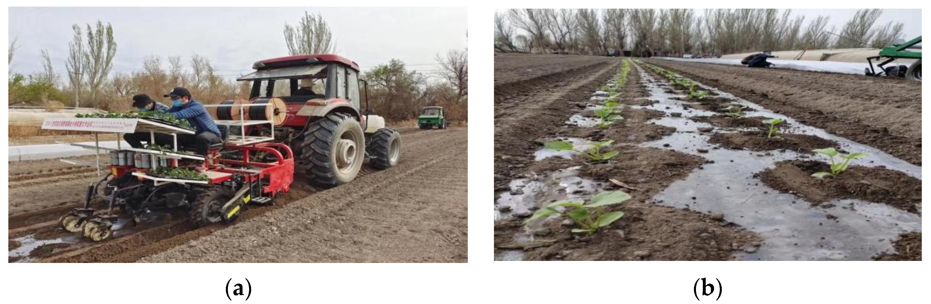 Agriculture 12 00796 g004 550