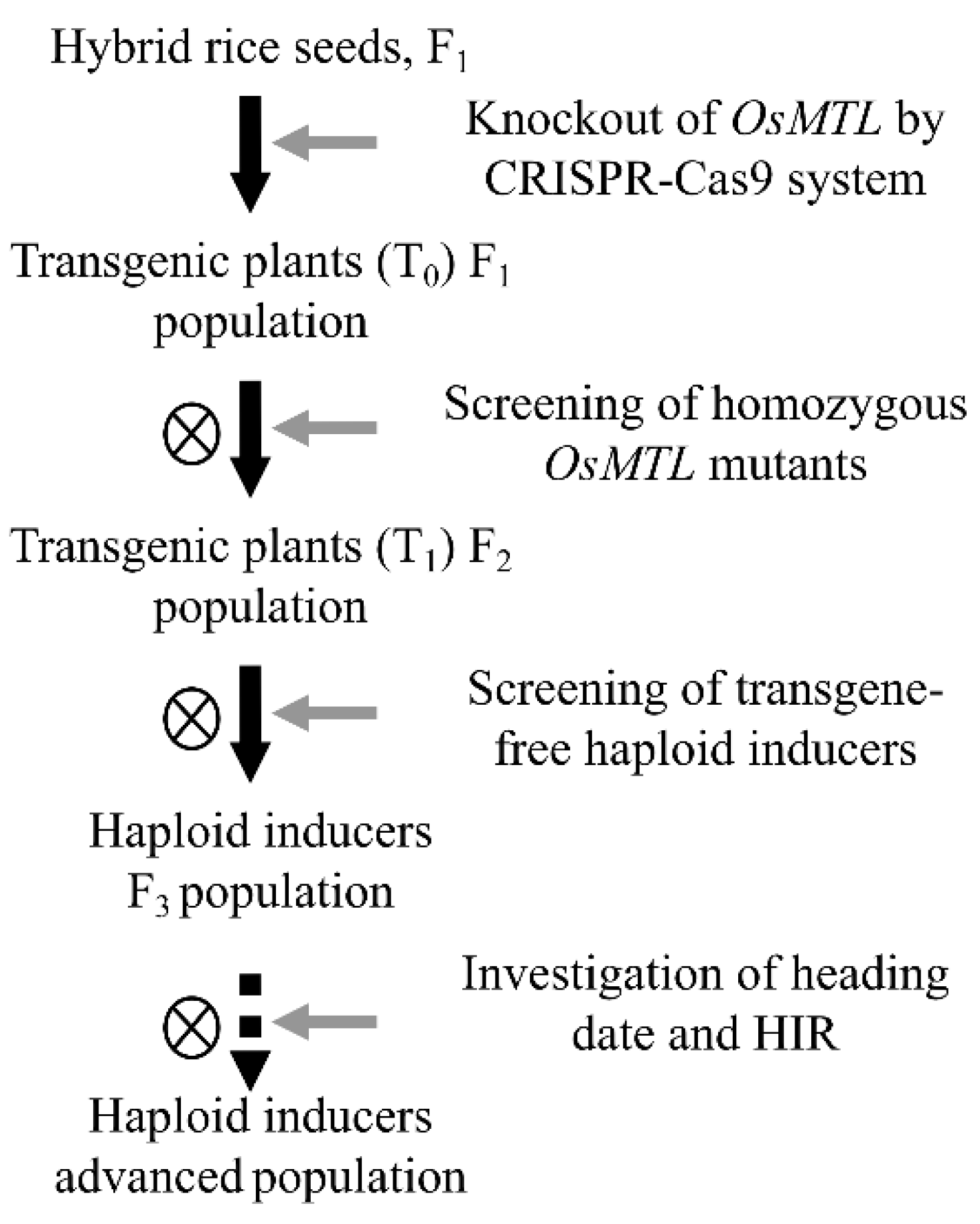 Agriculture 12 00806 g001 550