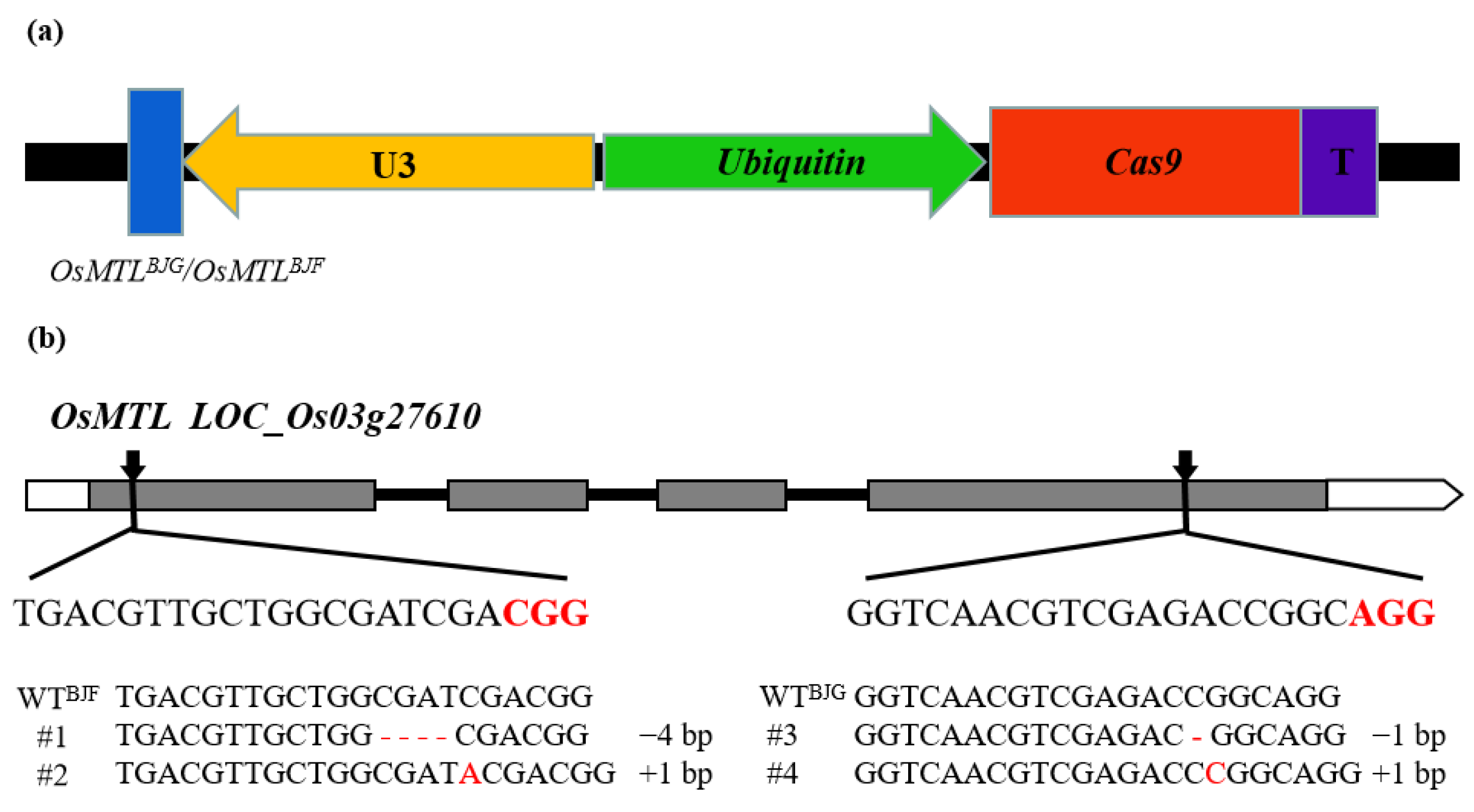 Agriculture 12 00806 g002 550